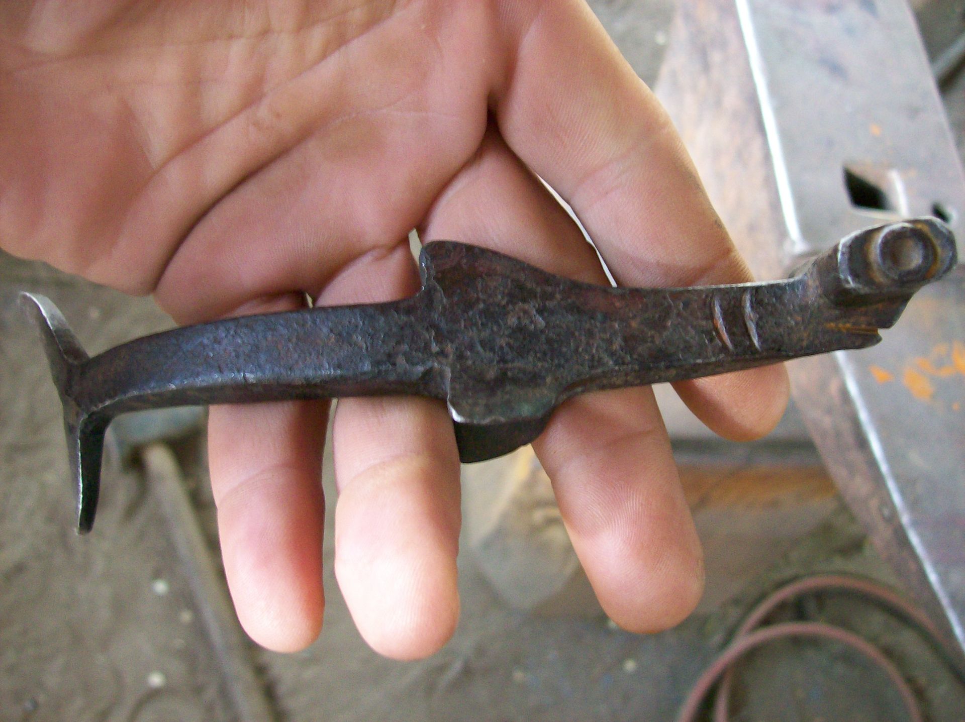 Hammer Head Shark 2