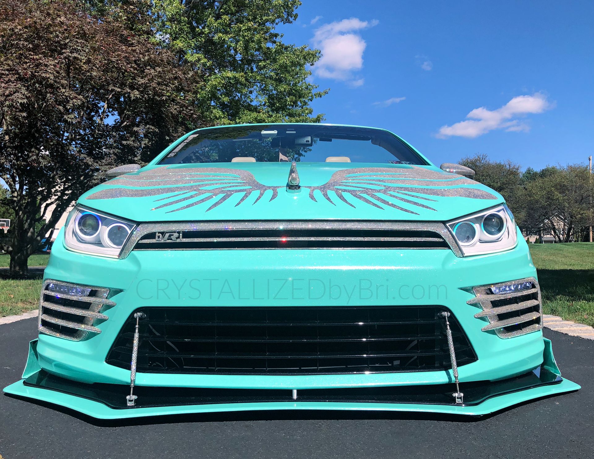 Custom Grille Crystallized Car Bling Genuine European Crystals Bedazzled 1