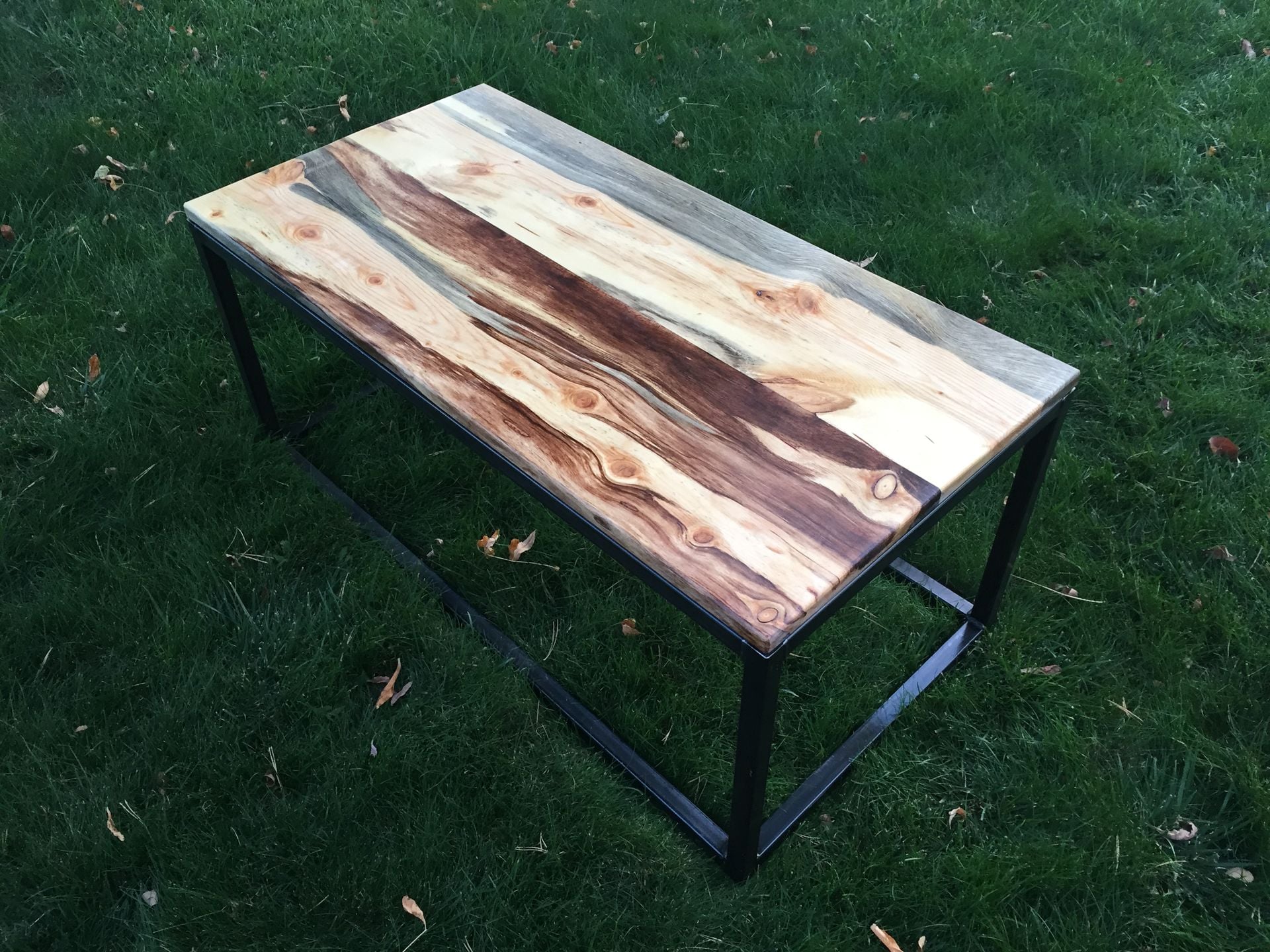 Beetle Kill (Bluestain) Pine Wood Coffee Table - Handmade In Denver