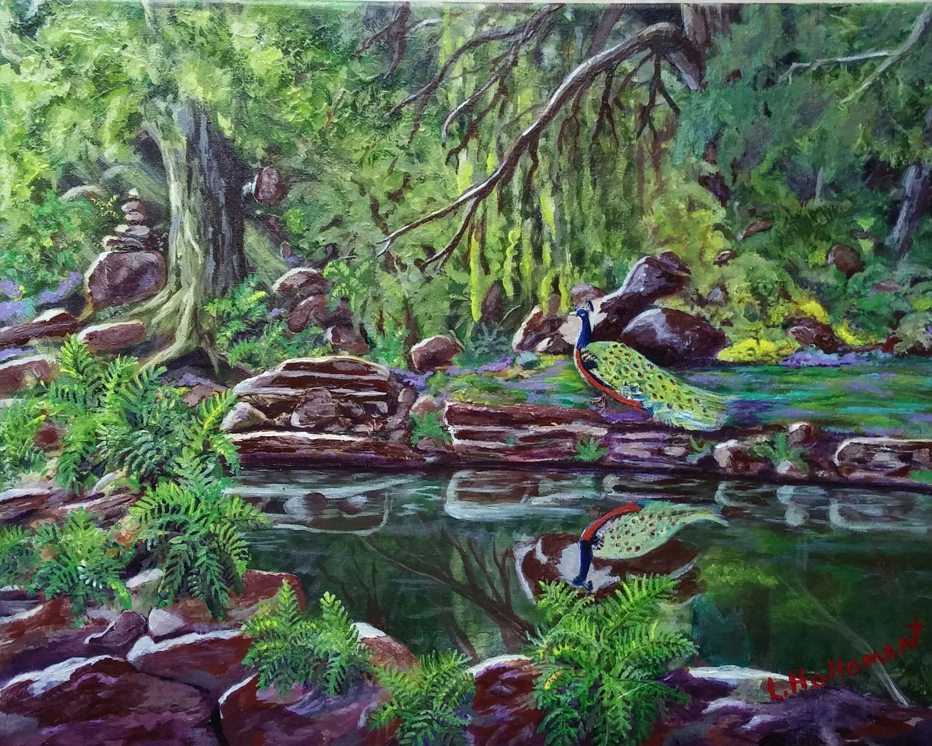 Peacock And Still Waters