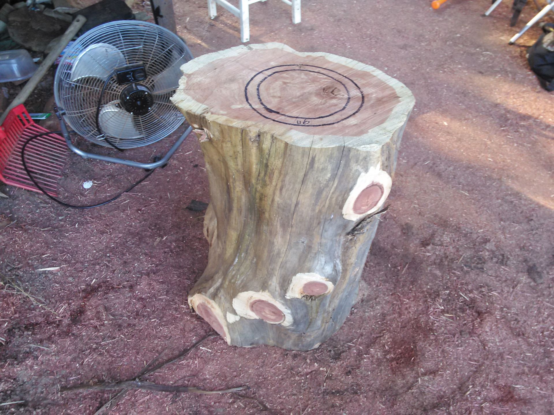 Cedar Bata Drums 2