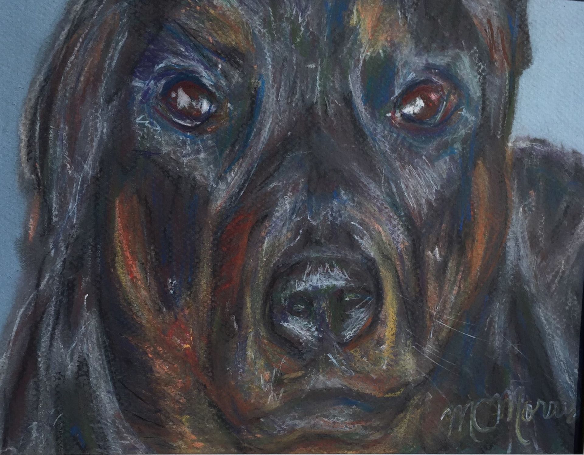 Dog Breed Fine Art Prints From Original Pastel Painting