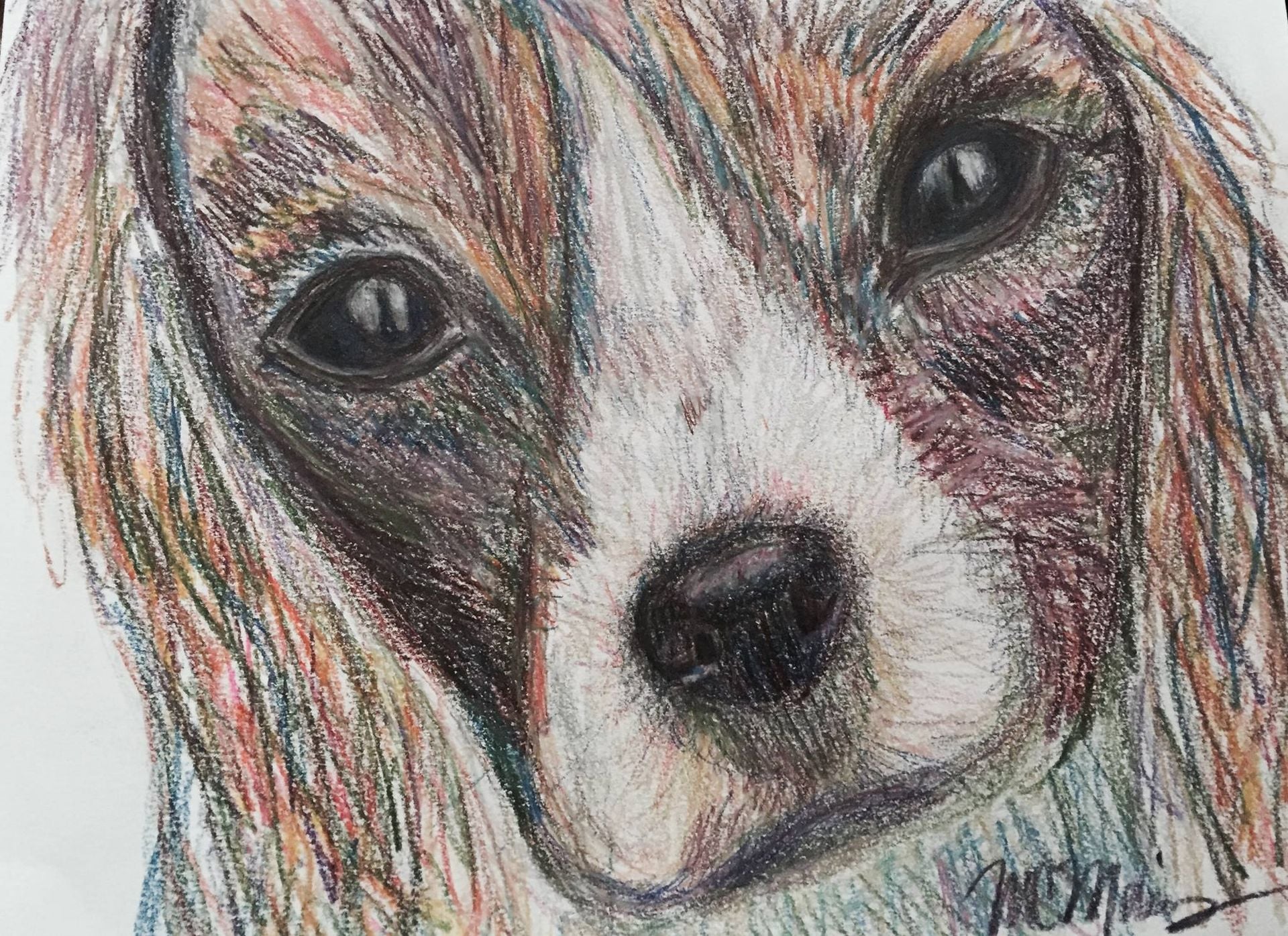 Dog Breed Fine Art Prints From Original Pastel Painting 2