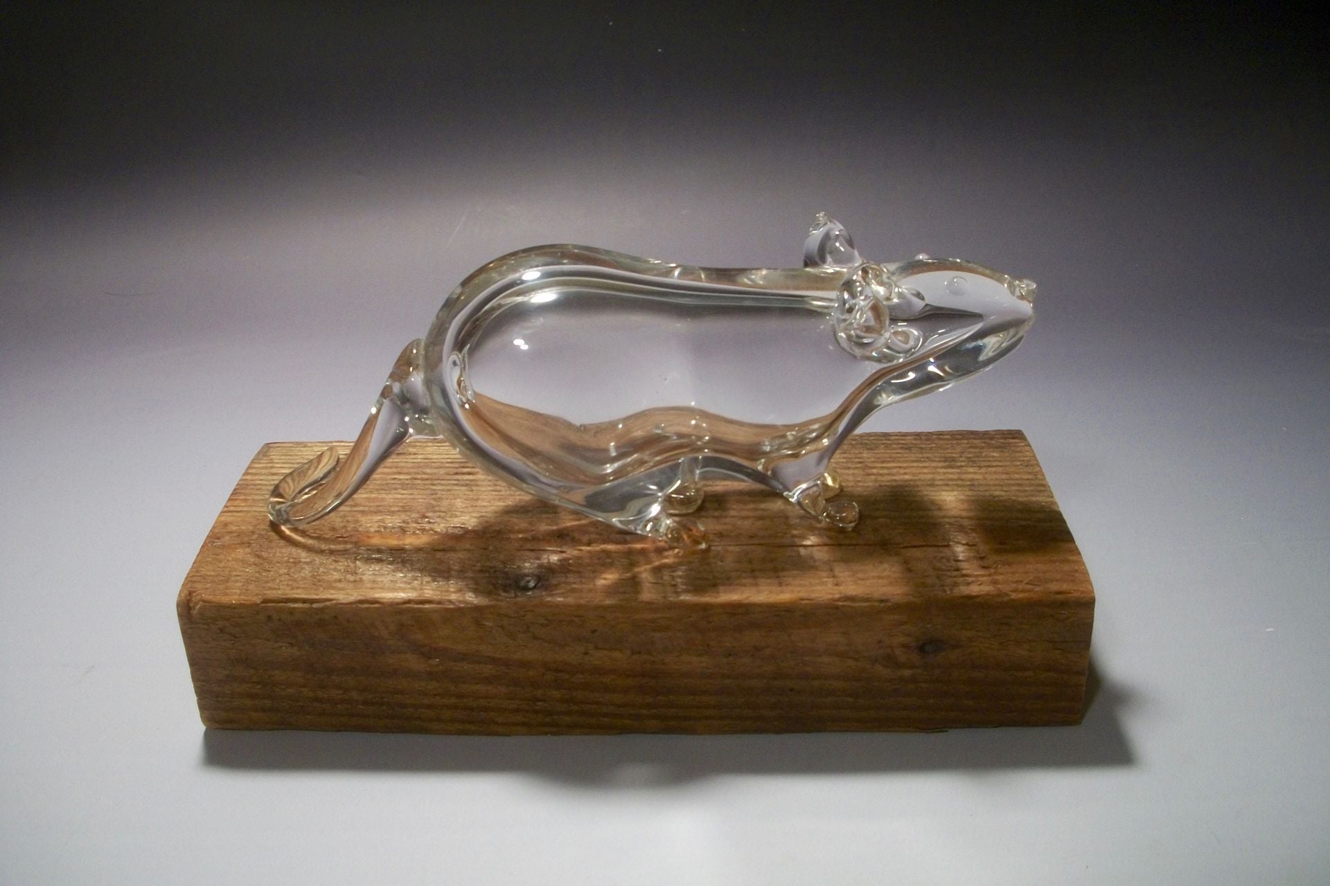 Glass Hand Blown Lab Rat 2