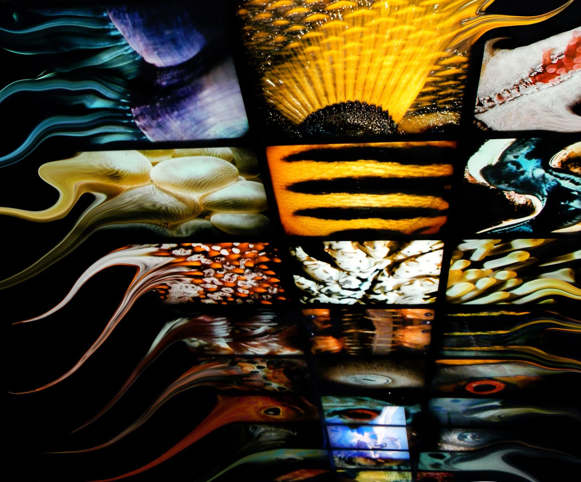 Photo Manipulation 5