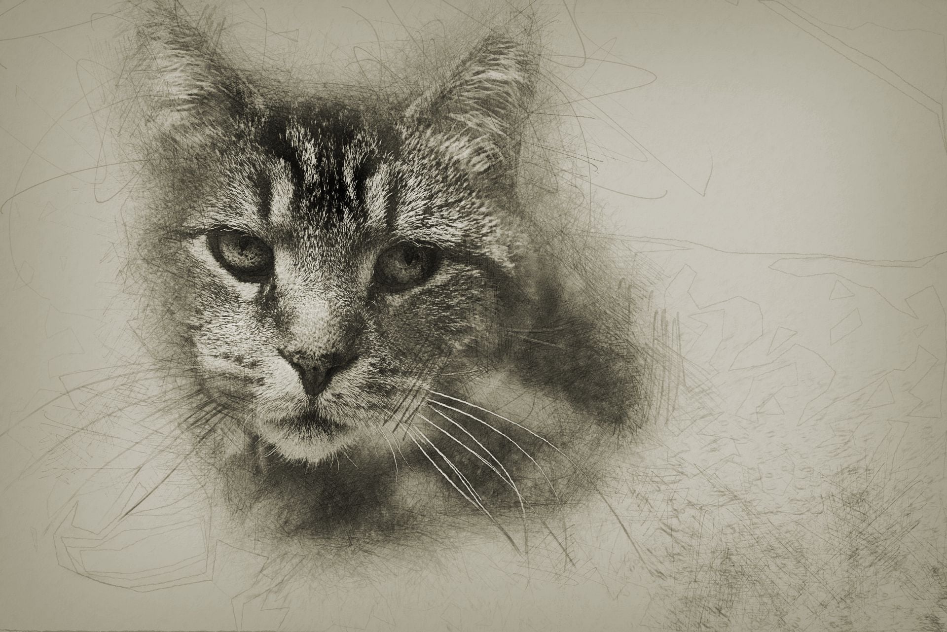 Custom Portrait Pencil Sketch From Photo (Digital Delivery) 3 