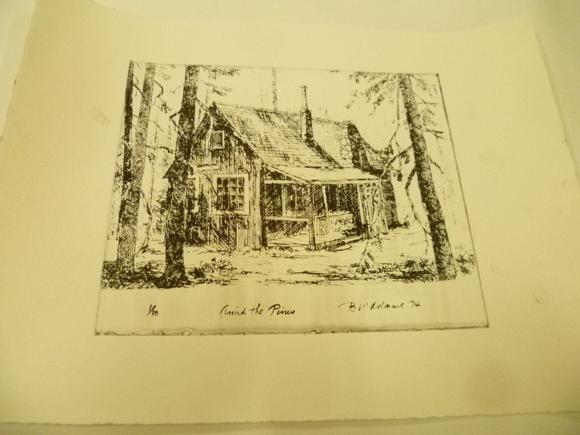 Printed Etching From A Negative 3