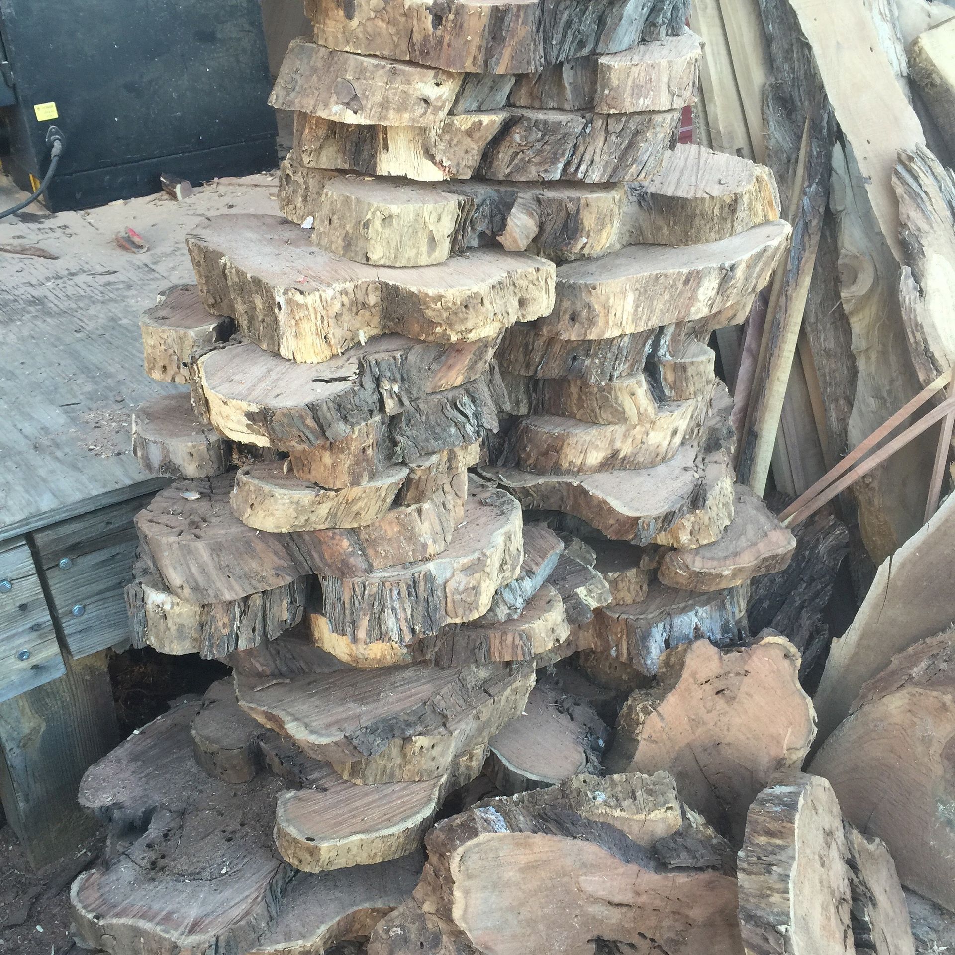 Eastern Red Cedar Coins 3