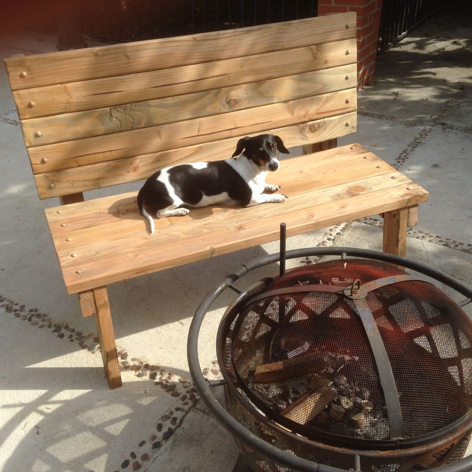 Garden Bench