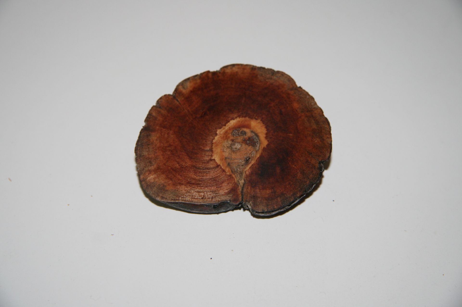 Wooden Brooch Large Natural Unique