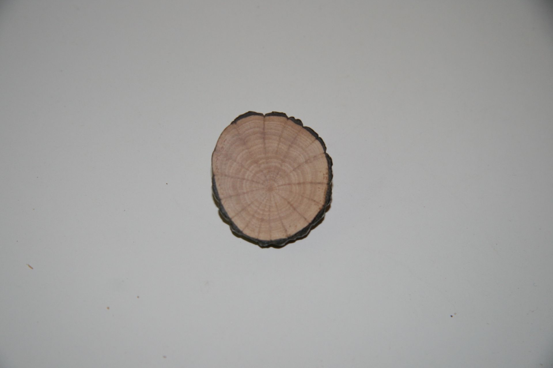 Wooden Brooch Small Natural Unique