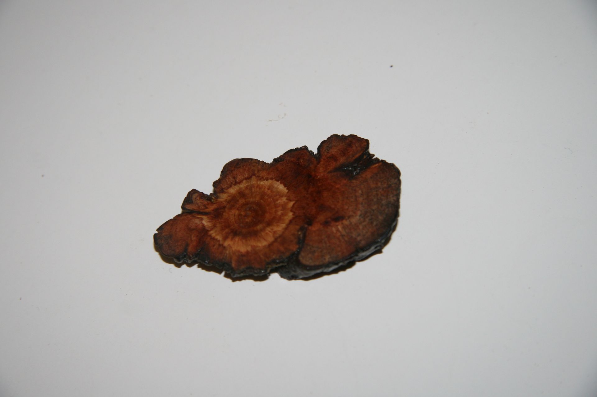 Wooden Brooch Small Natural Unique 3