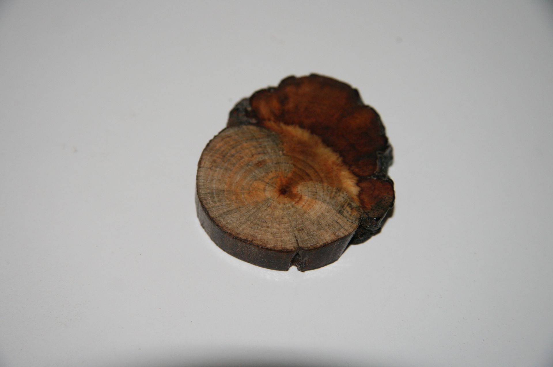 Wooden Brooch Small Natural Unique 5