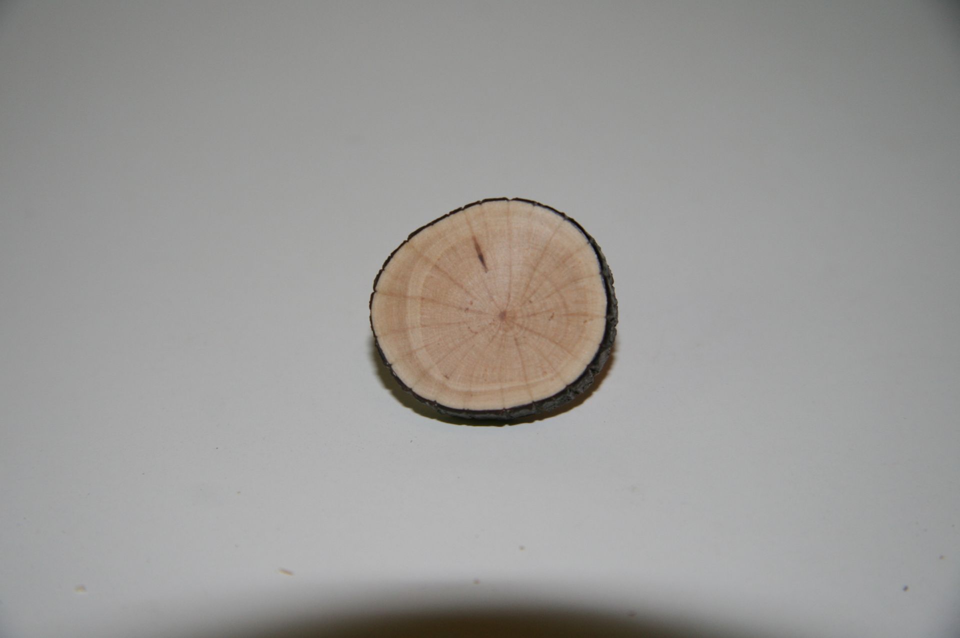 Wooden Brooch Small Natural Unique 6