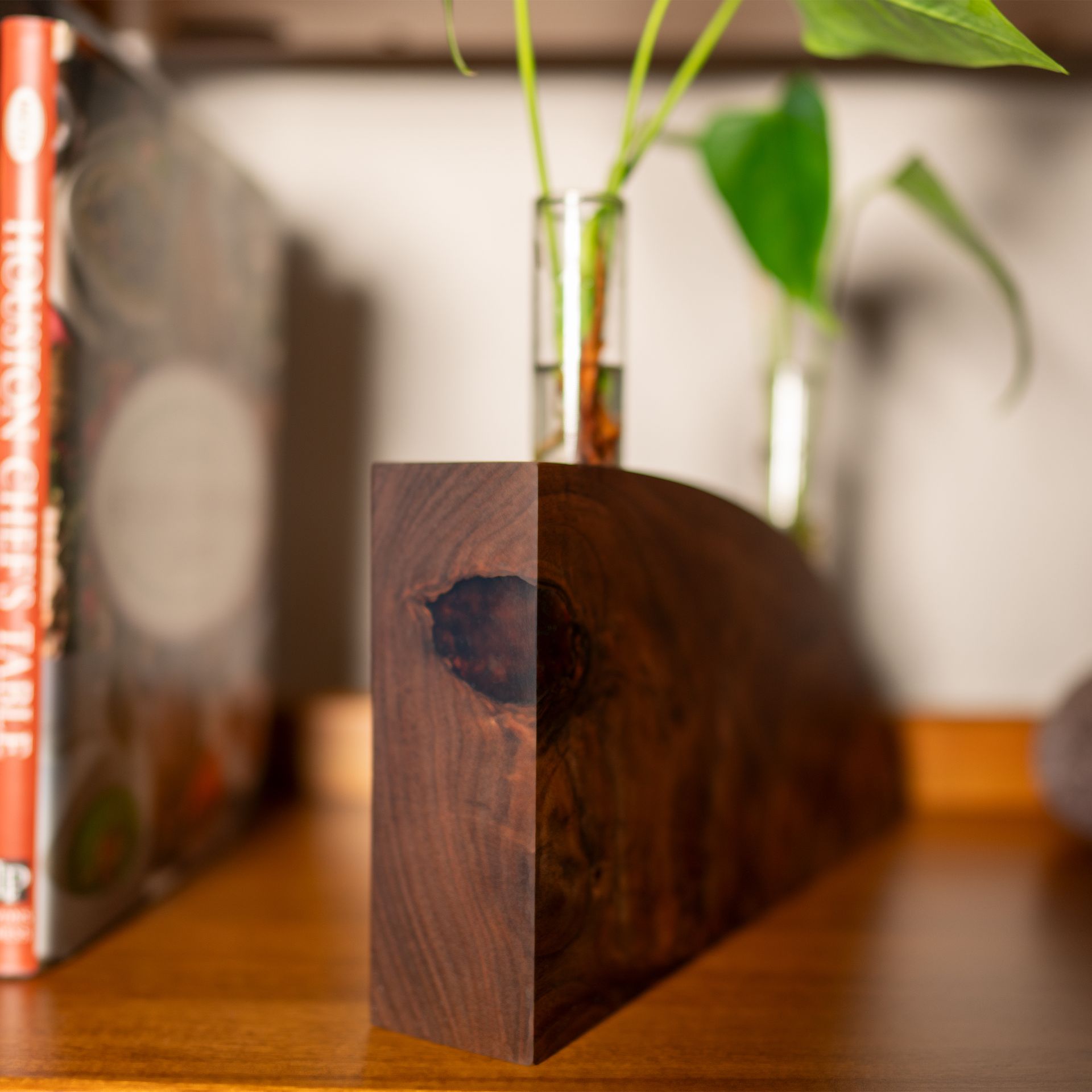 Propagation Vase:  Crimson And Clover 2 