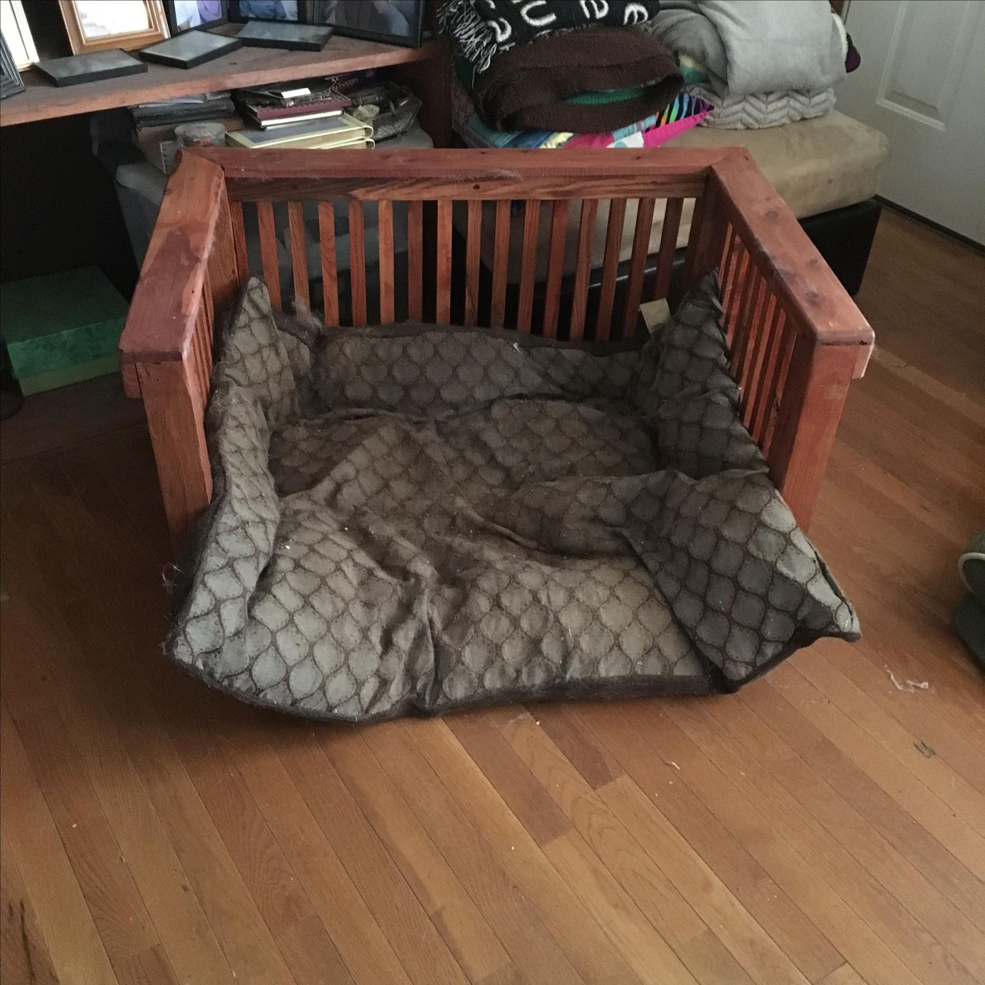 Dog Bed 2 