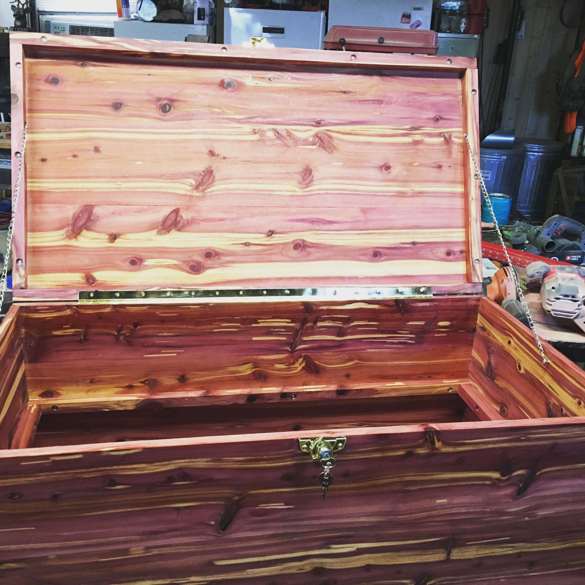 X Large Trunk 2 