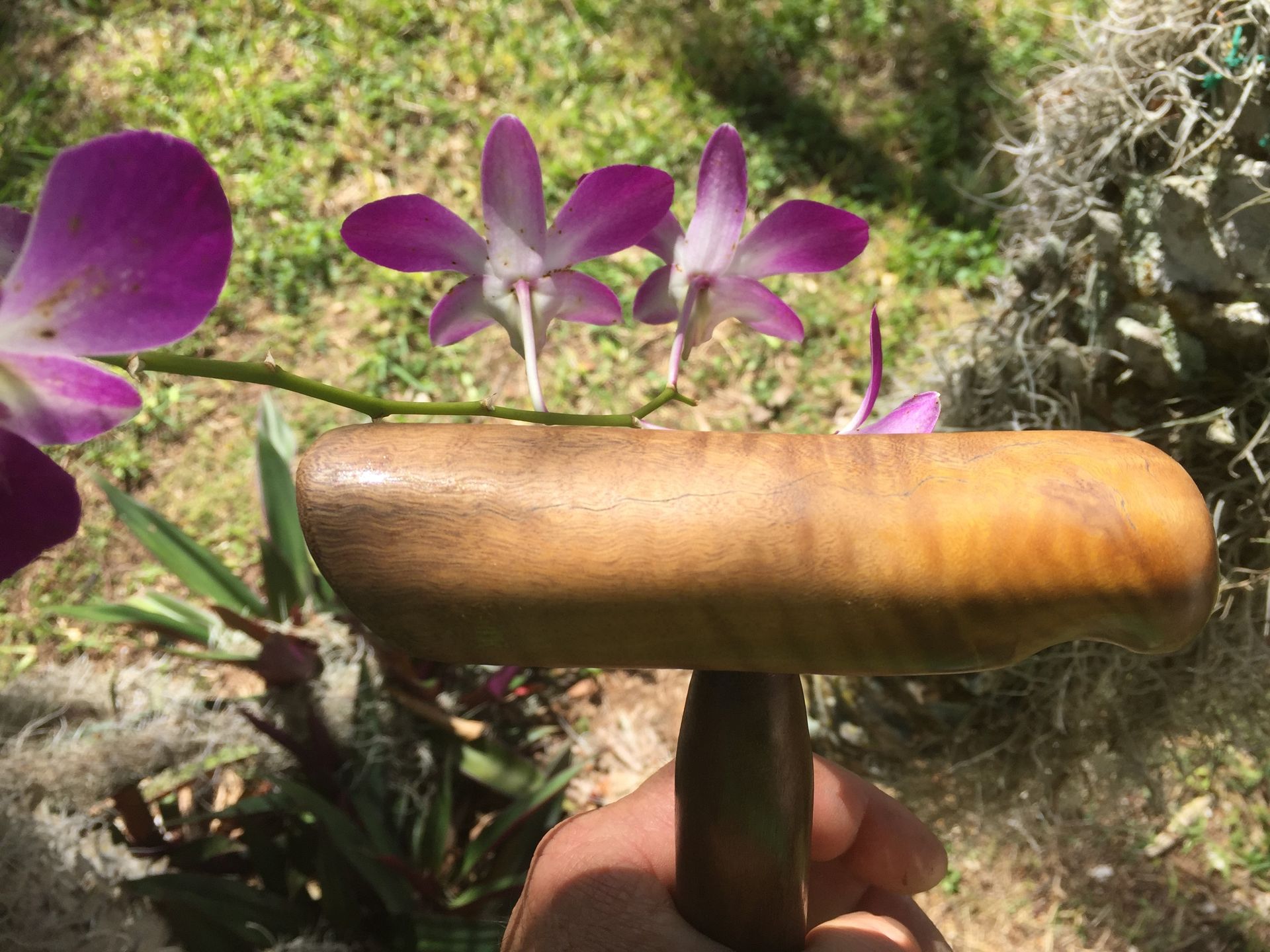 Walking Sticks Or Canes 5
