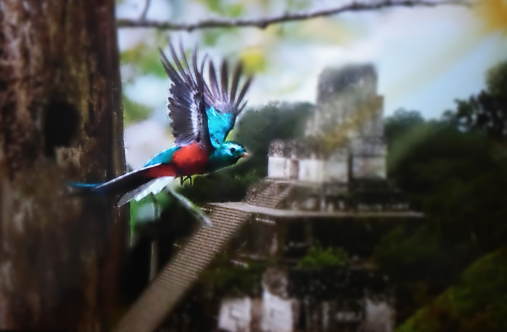 Nature, Birds And Places , Painting On Canvas 6