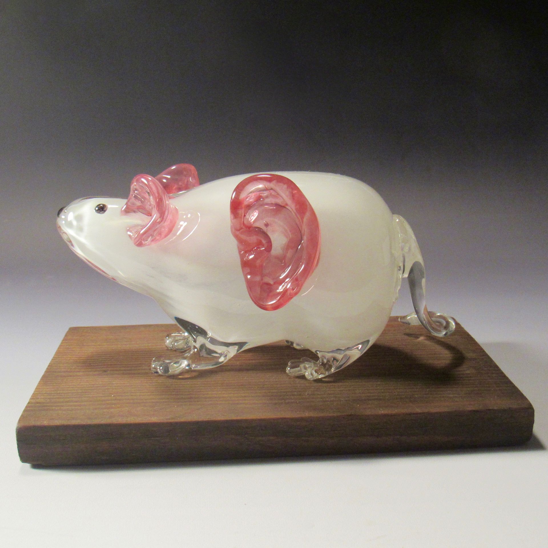 Glass Hand Blown Lab Rat