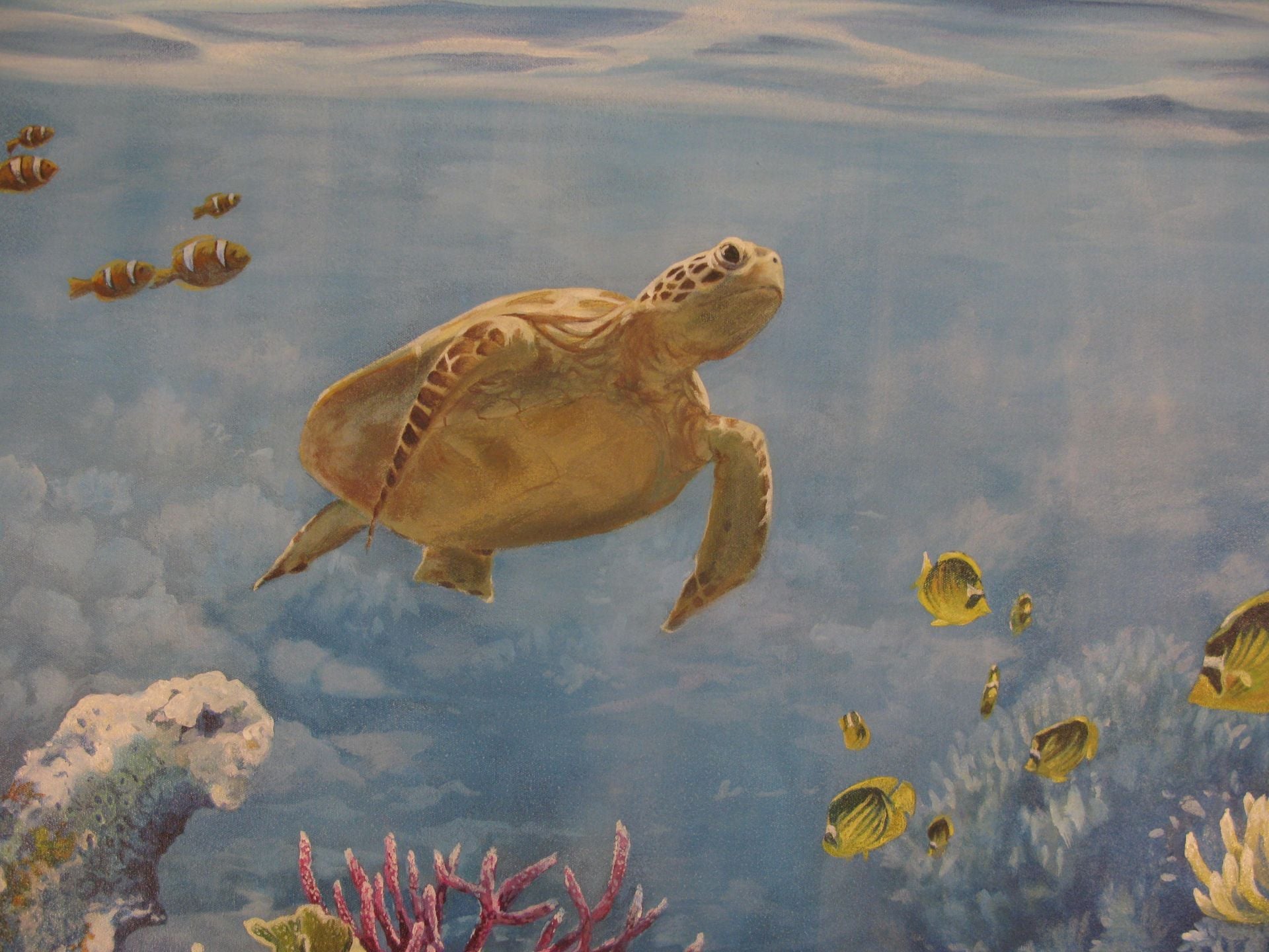 Coral Reef Mural 6 