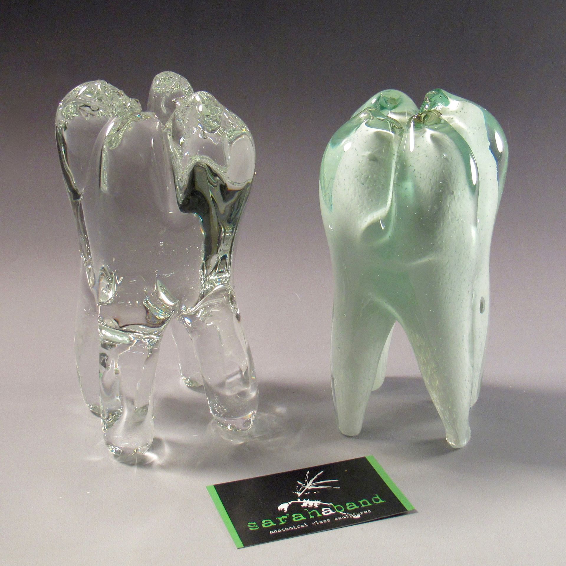 Solid Hand Blown Glass Wisdom Tooth 6