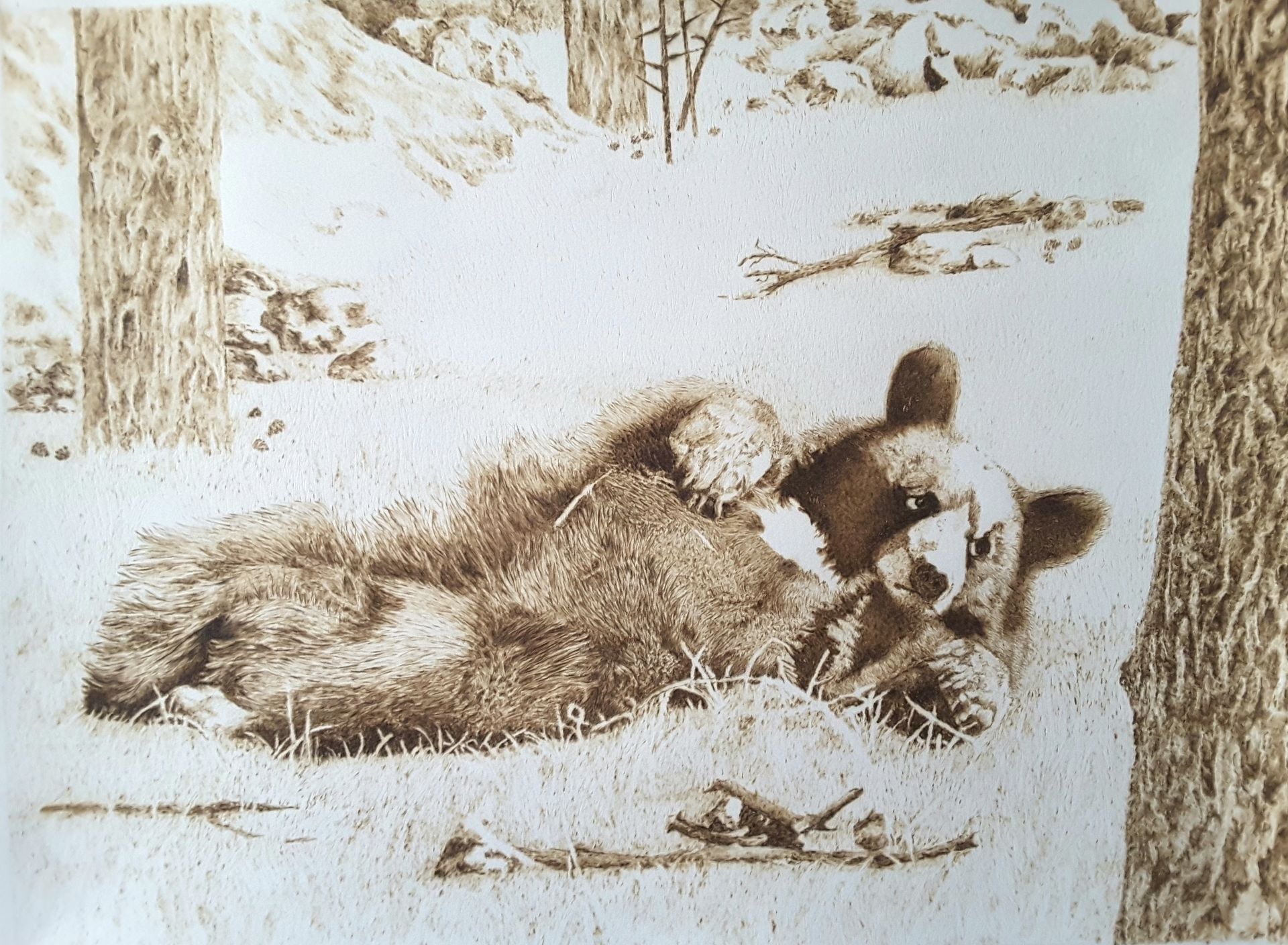 Bearly Awake Pyrography On Watercolor Paper