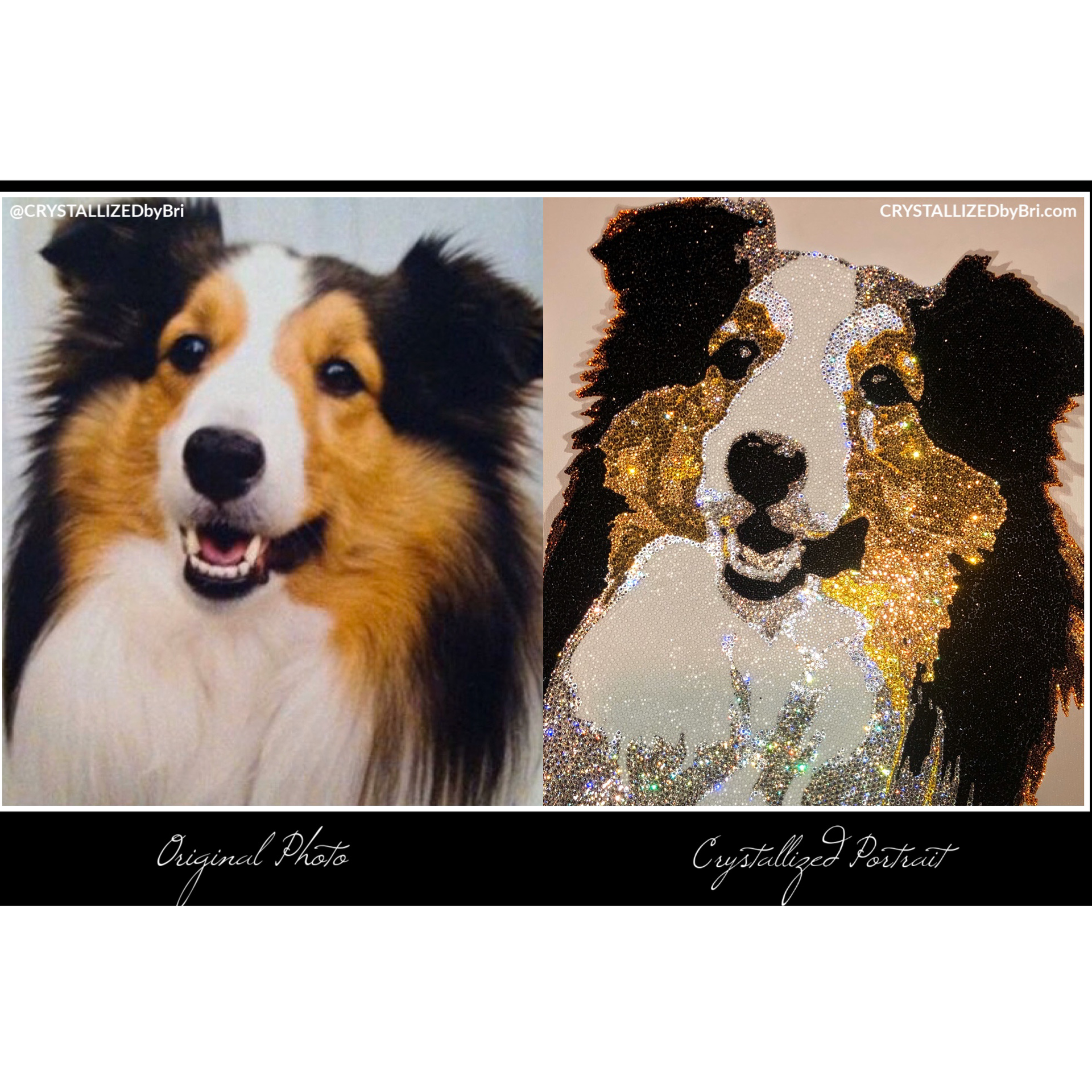 Custom Crystallized Pet Portrait Dog Cat Animal Bling Genuine European Crystals Bedazzled Museum