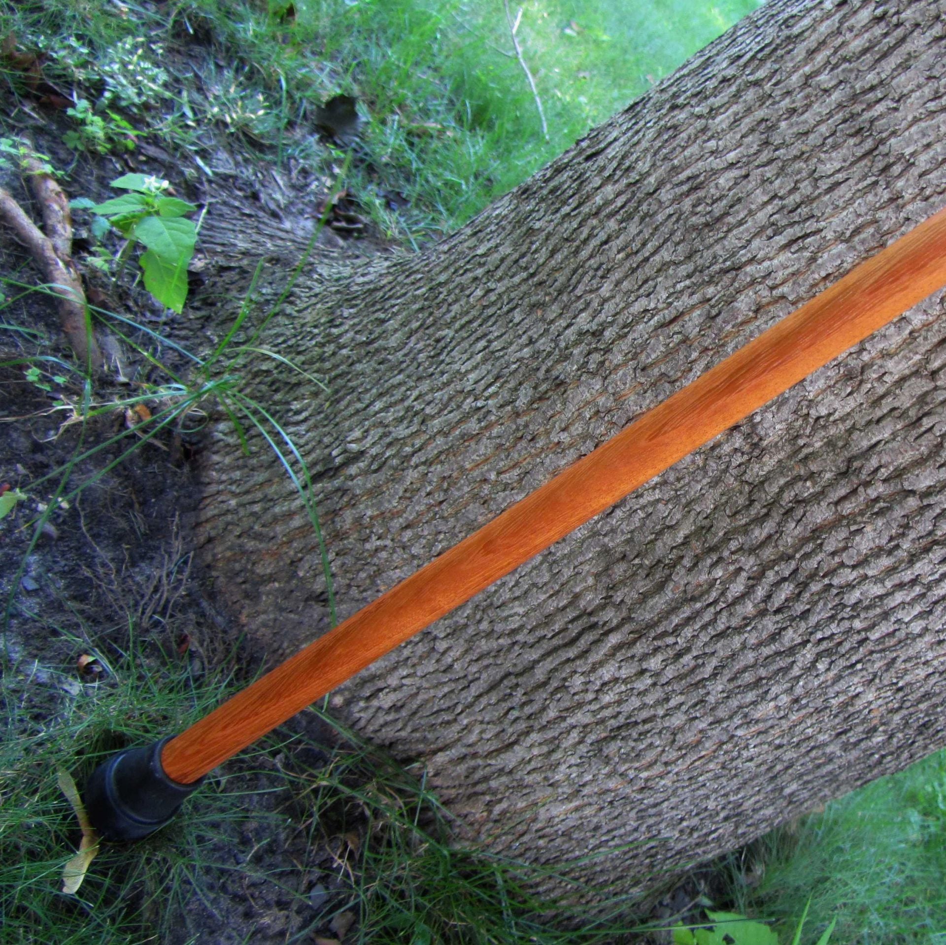 Derby Style Walking Cane - Brazilian Cherry And African Blackwood 2