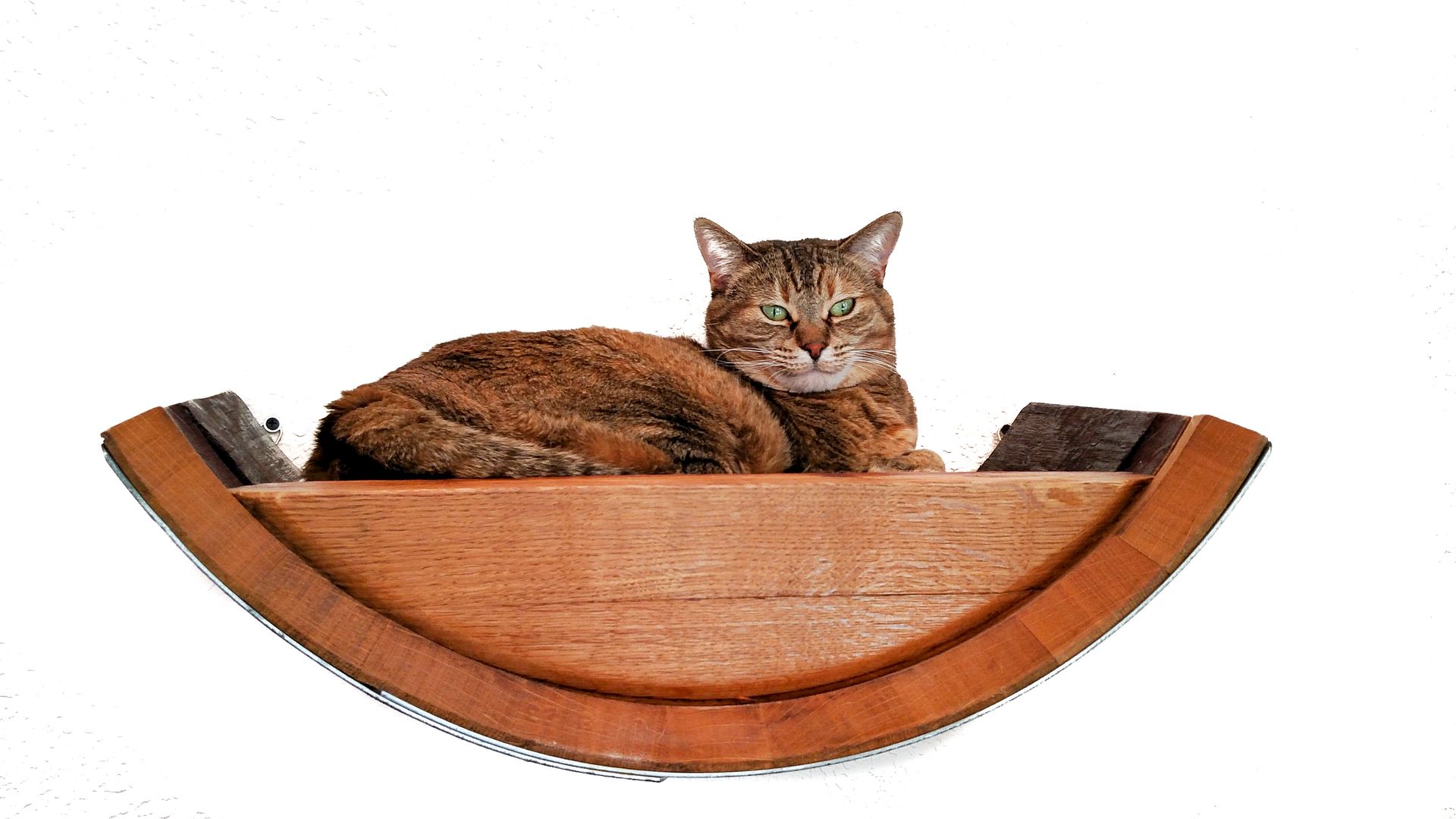 Wine Barrel Hanging Cat Bed - Birala - Made From Retired California Wine Barrels