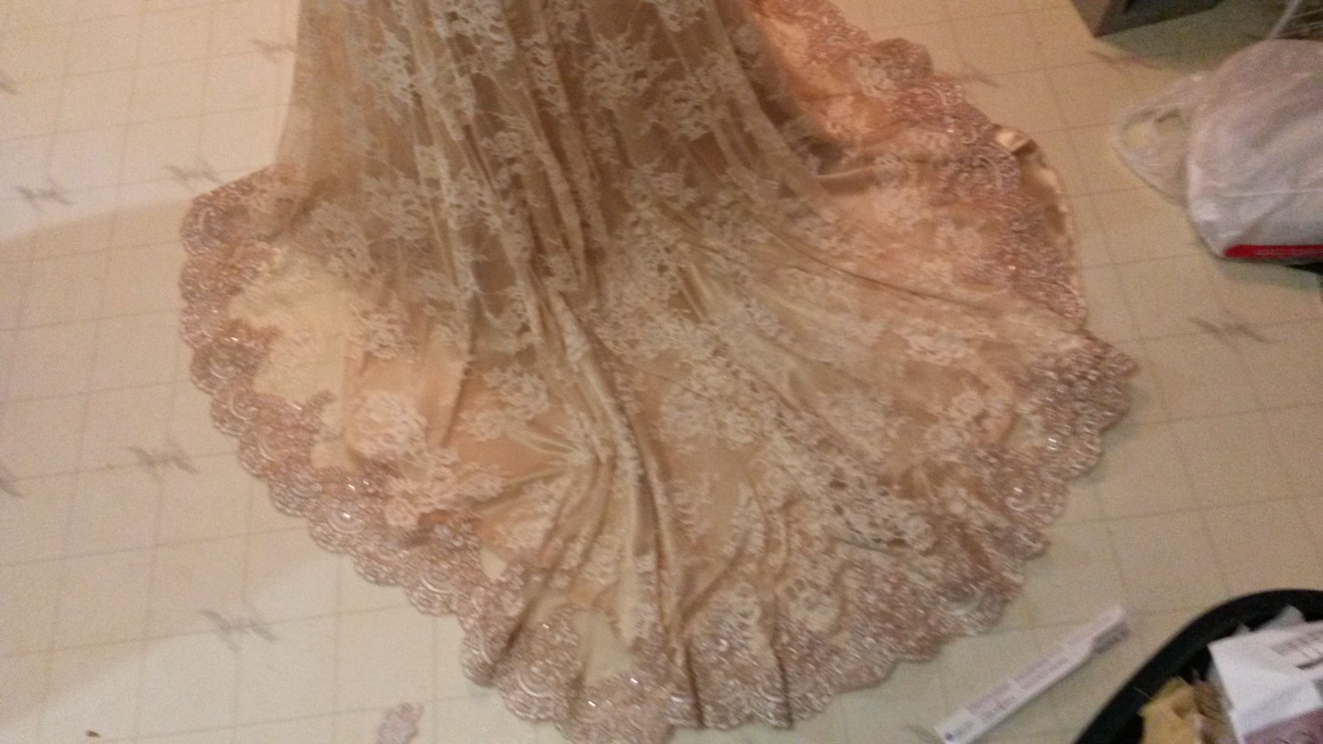 Elegant Beige Evening Gown 2