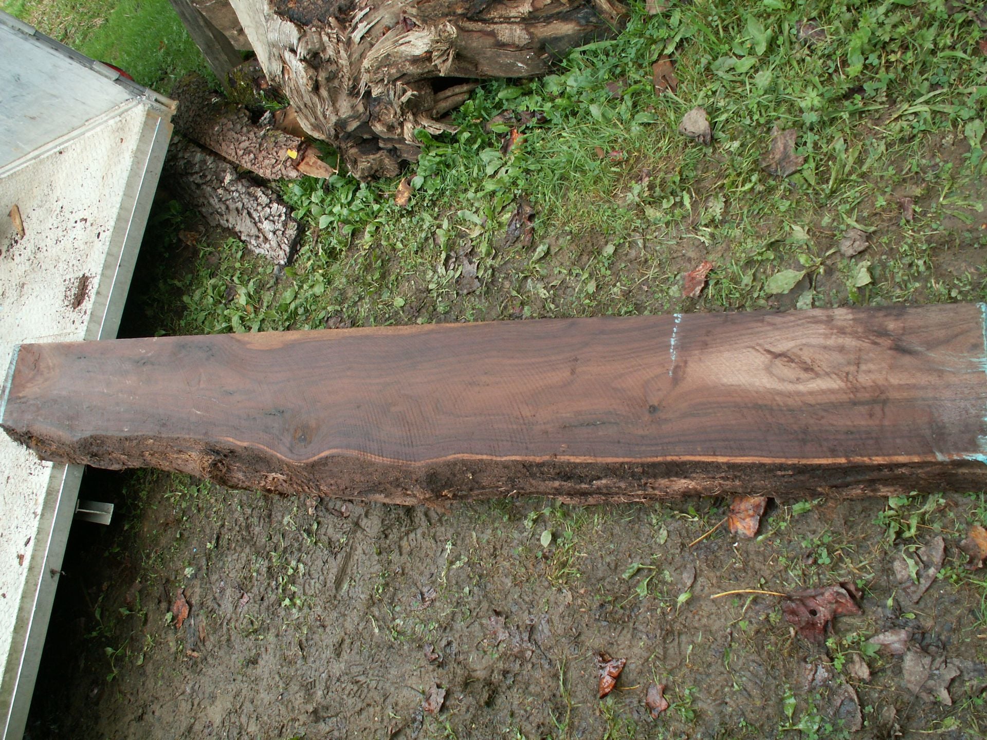 Live Edge Walnut Mantel 3 