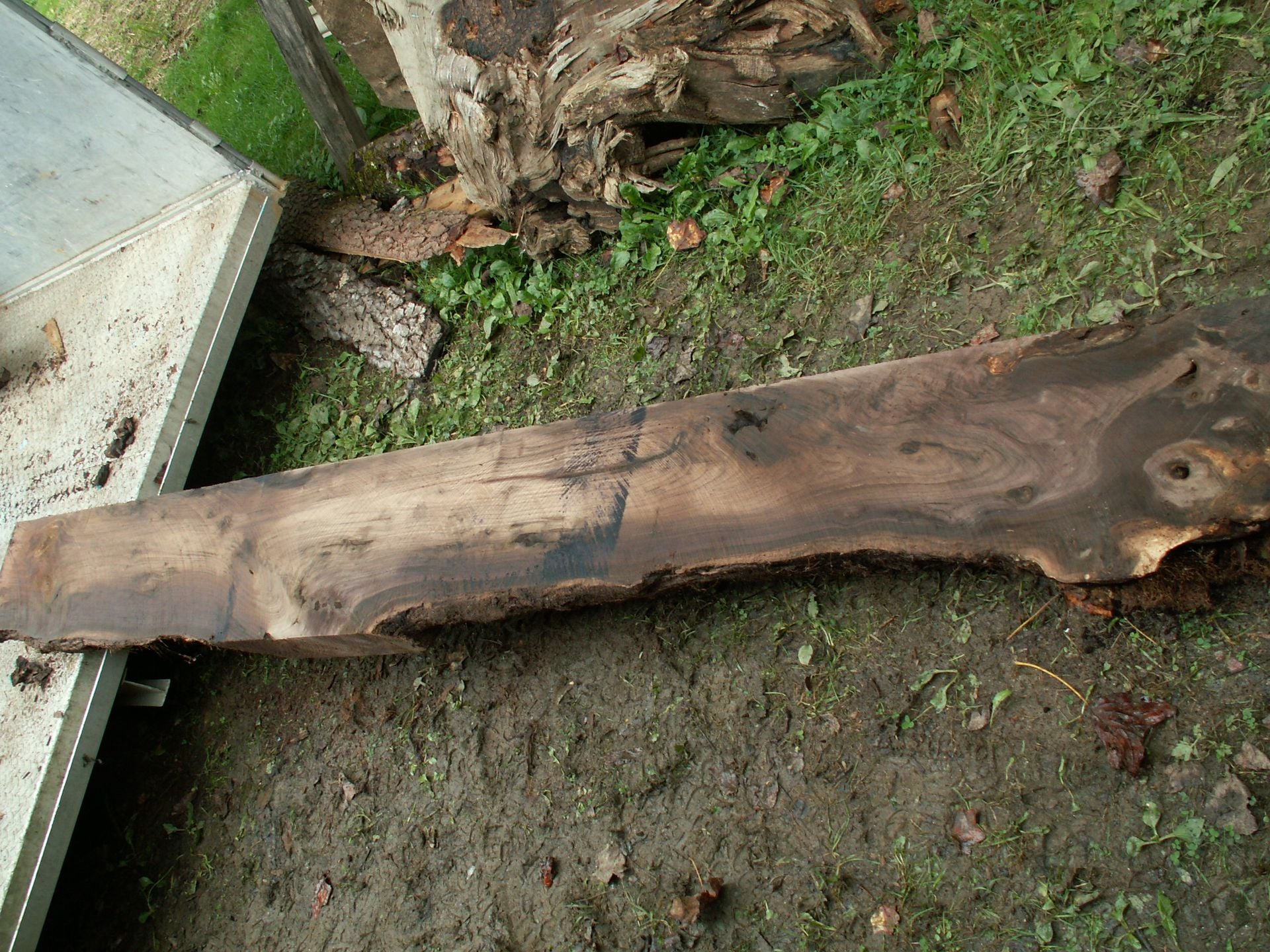 Live Edge Walnut Mantel 2 