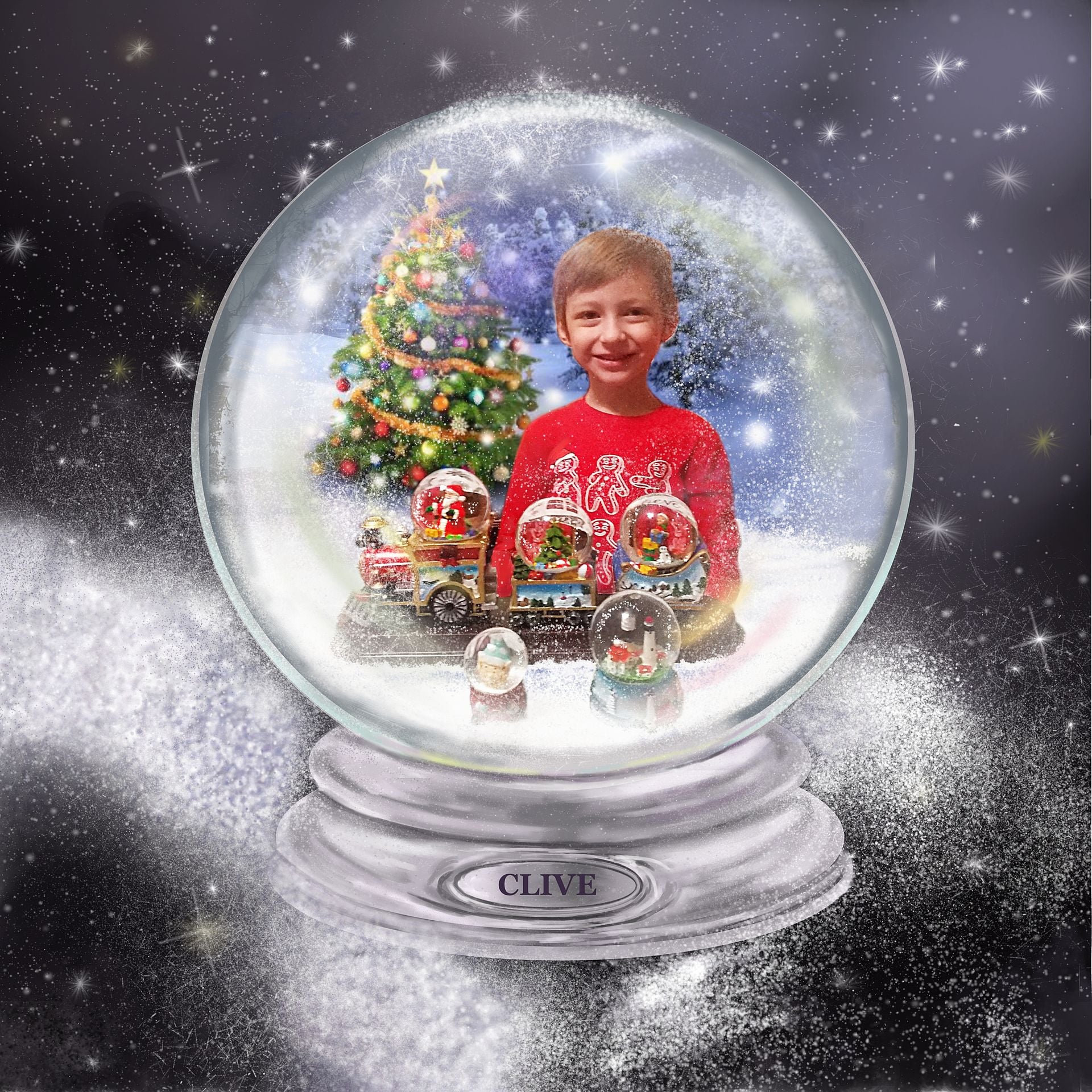 Snow Globe Artwork Custom Portrait Painting Of Your Family, Home Or Pet 4 