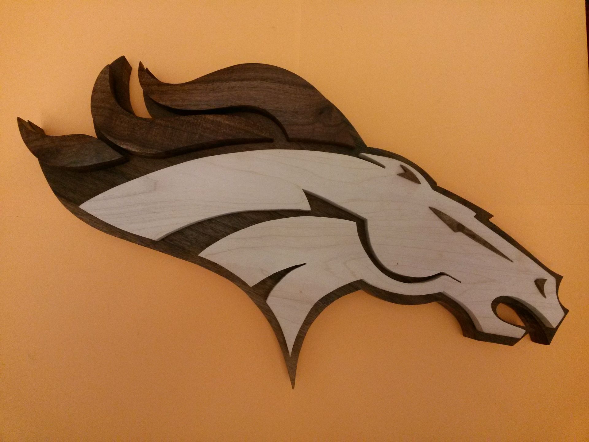 Denver Bronco  Logo (Orange Back Ground)