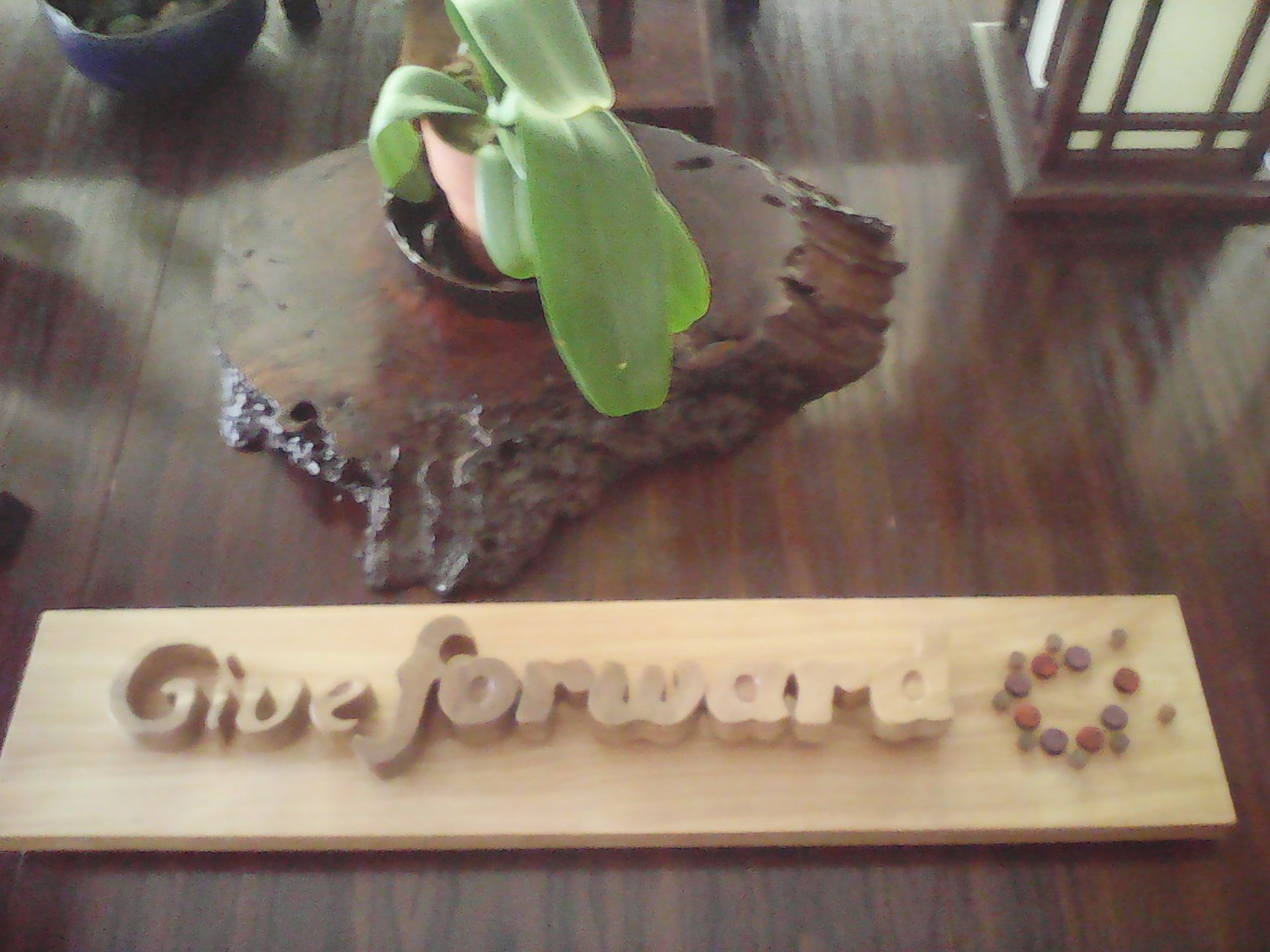 Wood Giveforward Logo 2 