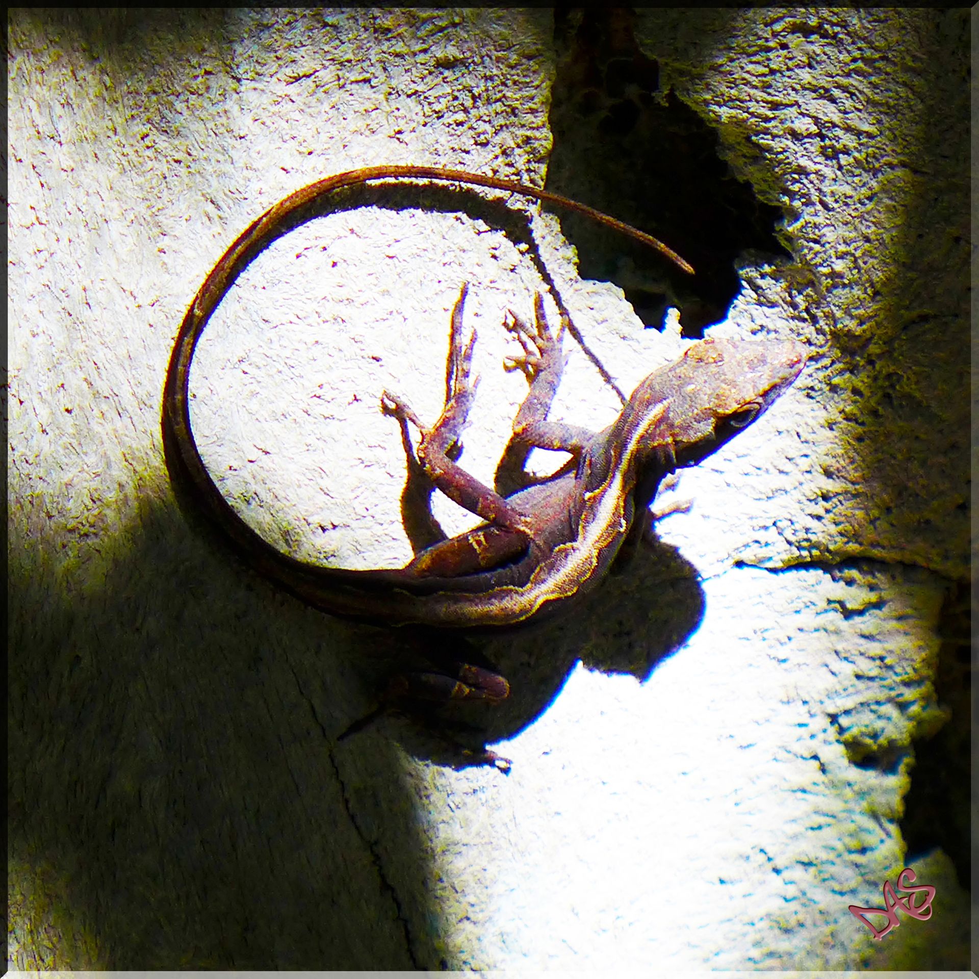 Photography "Nature" 2