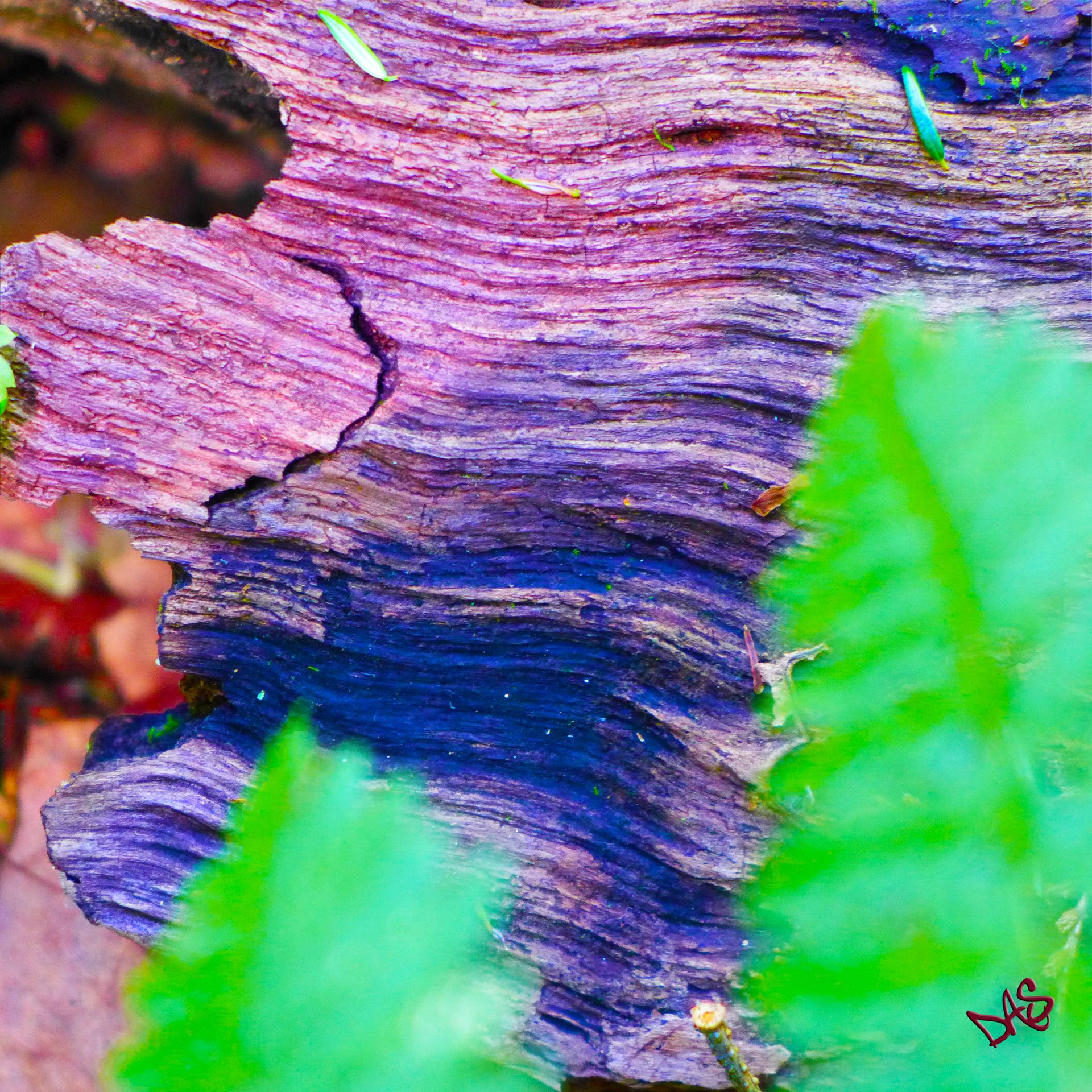 Digital Art On Canvas 5 
