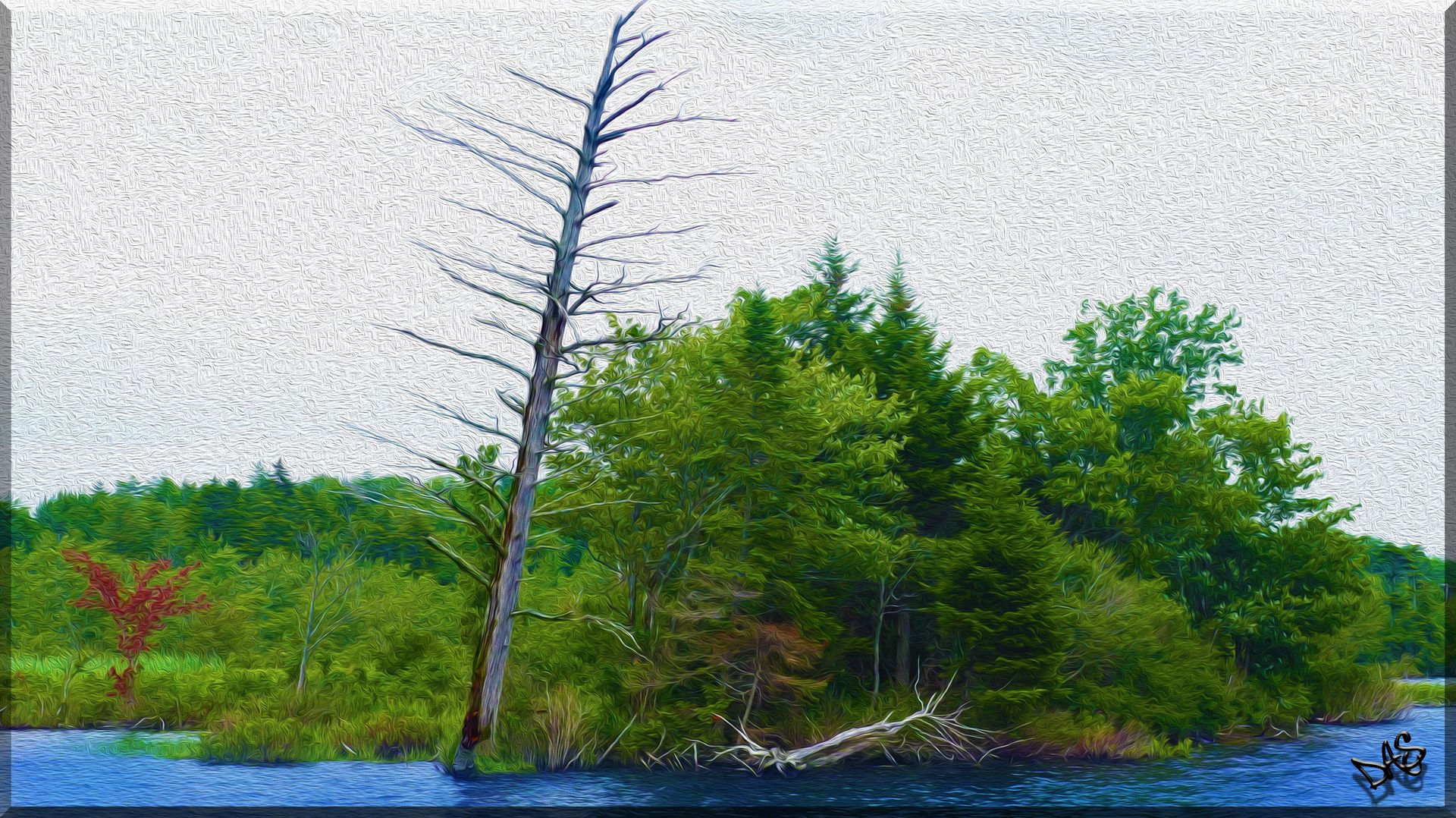 Photography Landscapes 4