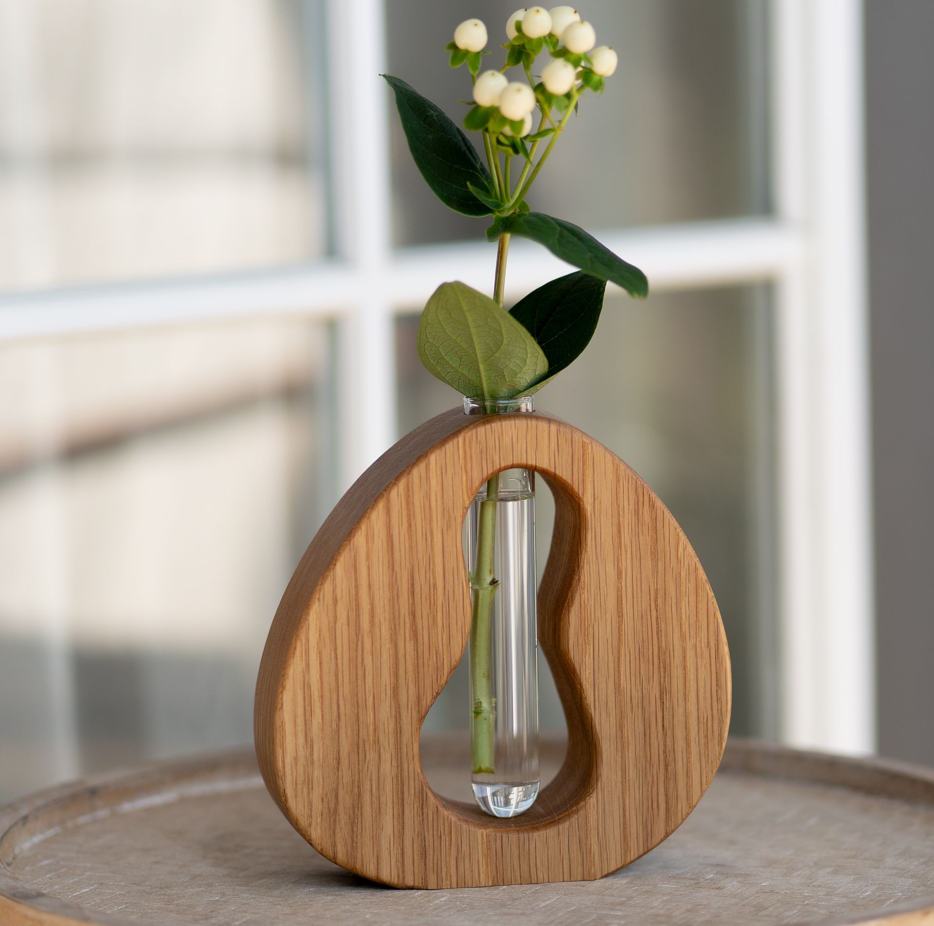 Propagation Vase - California Dreamin’ 6 