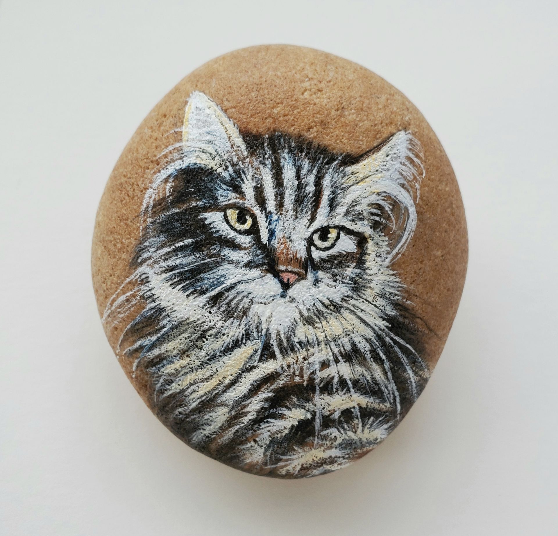 Pet Portrait On Rock - Custom Hand Painted Realistic Cat Or Dog Portrait On A Rock 5 