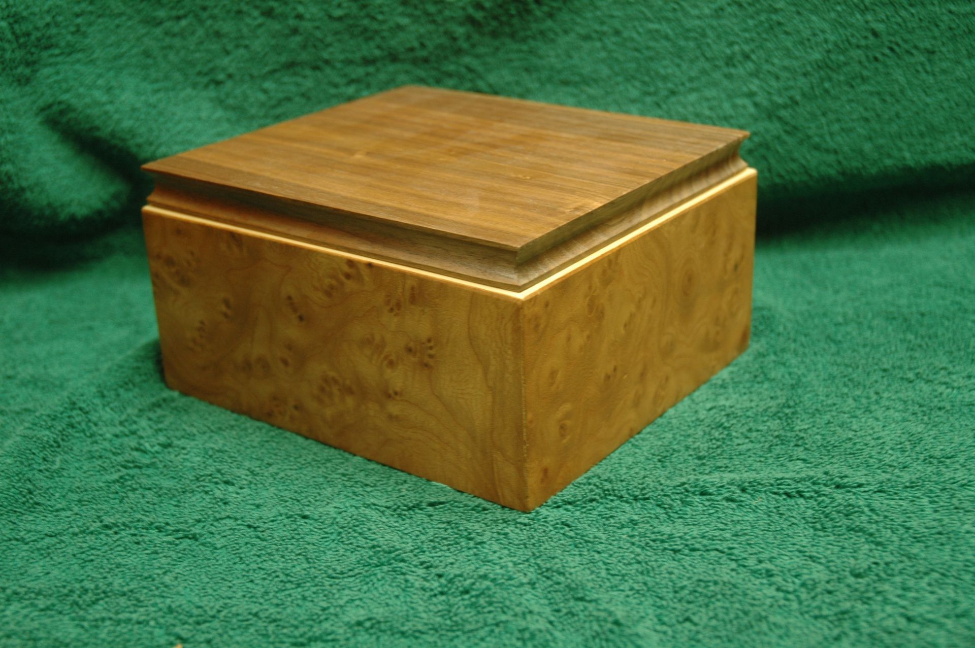 Elm Burl  Box 1 