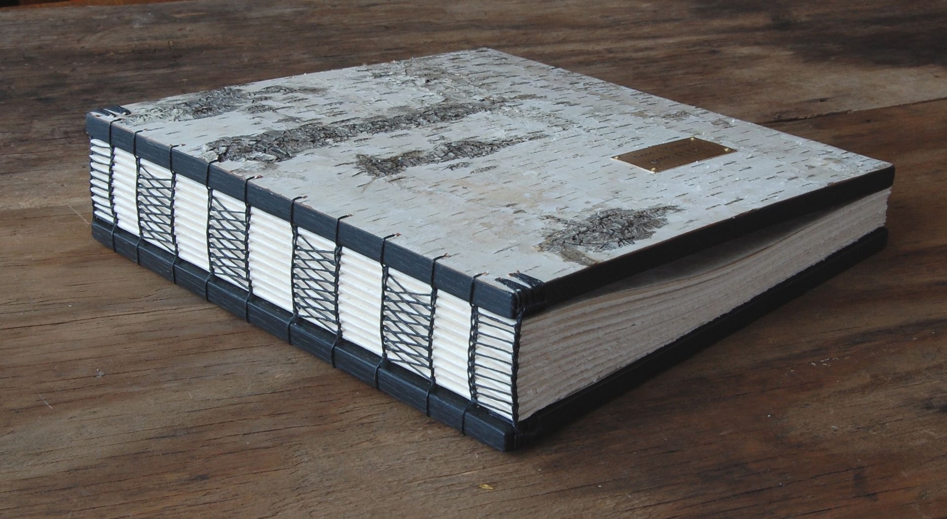 White Birch Wedding Or Vacation Home Guest Book 2 