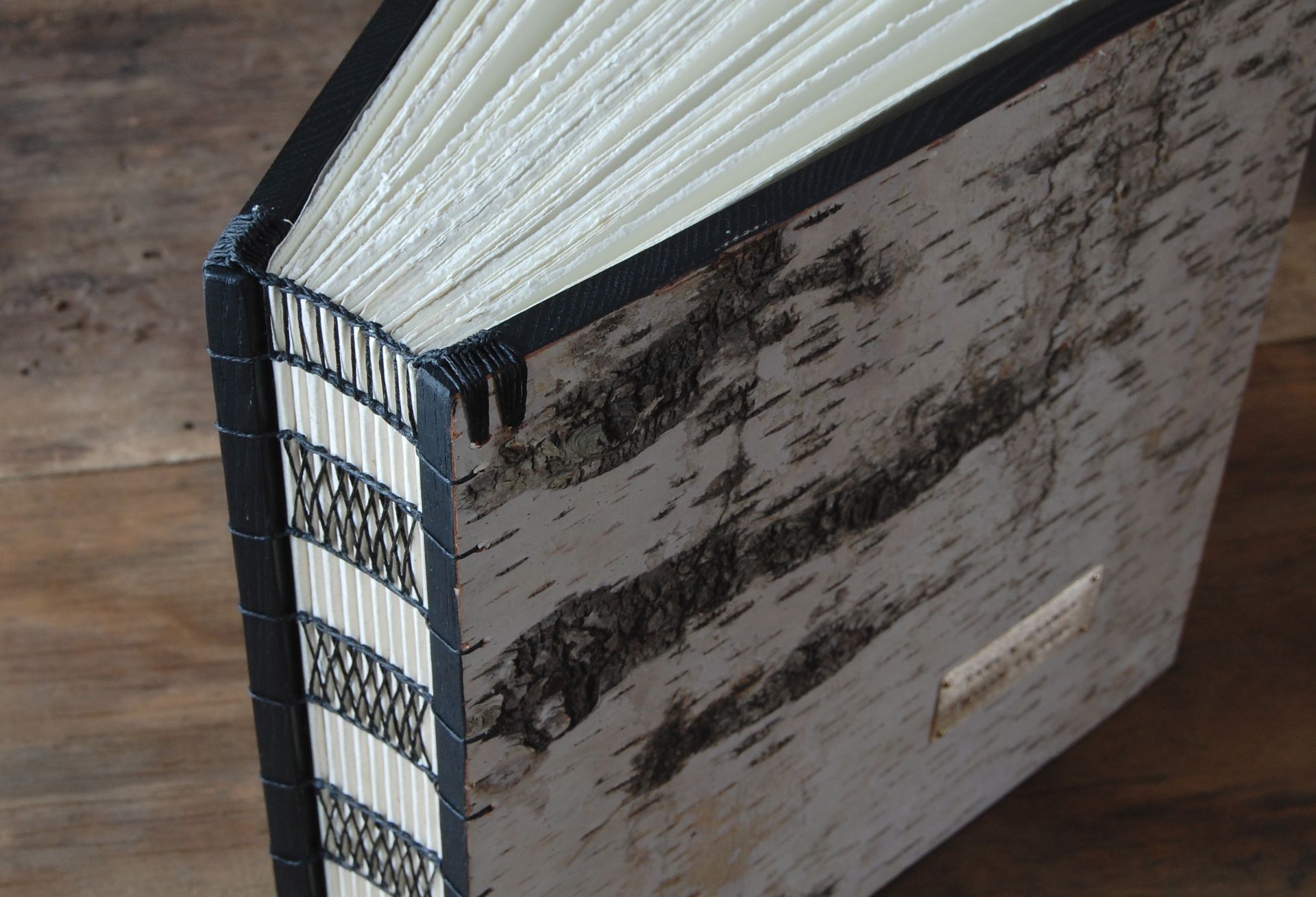 White Birch Wedding Or Vacation Home Guest Book 4 