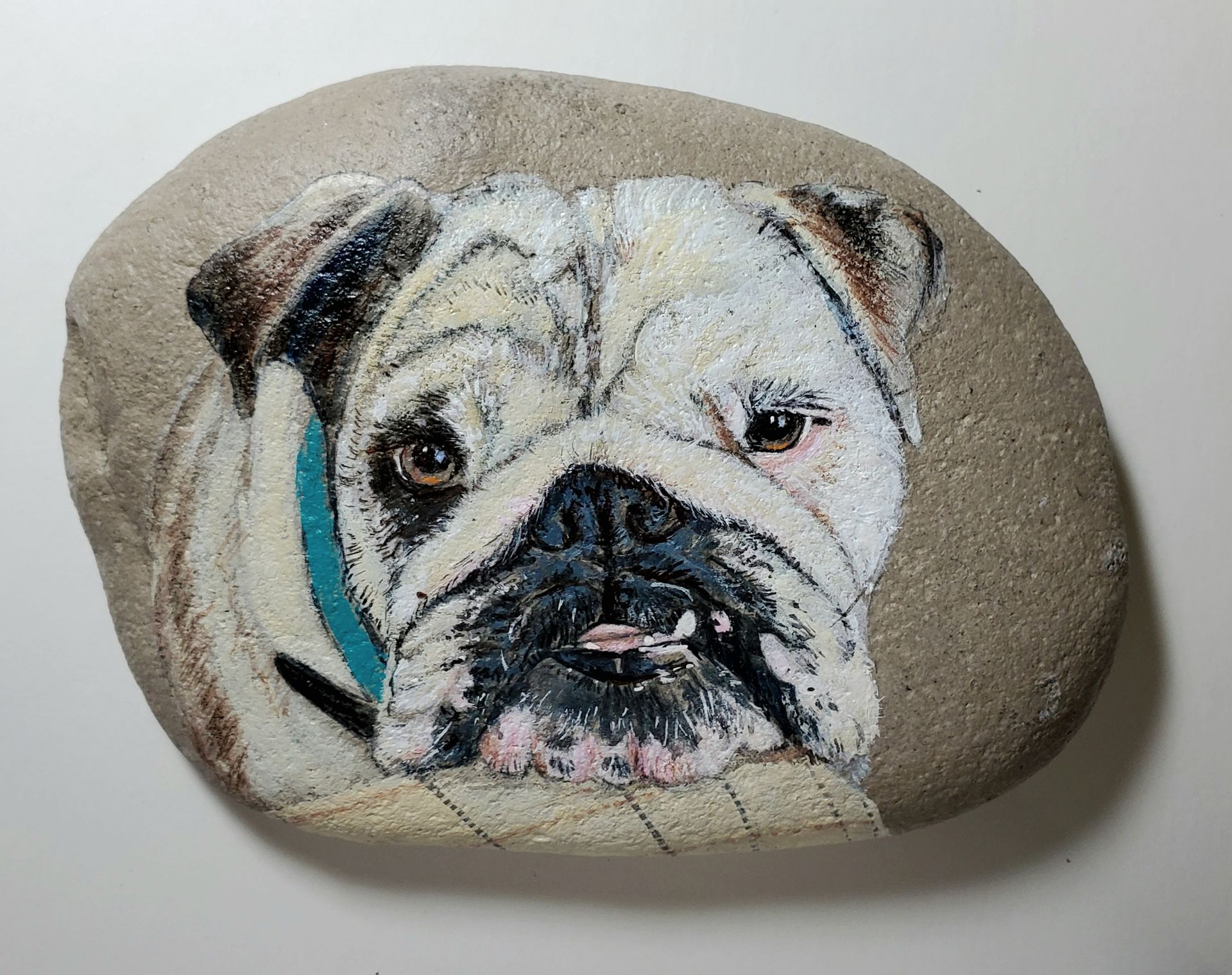 Pet Portrait On Rock - Custom Hand Painted Realistic Cat Or Dog Portrait On A Rock 3 