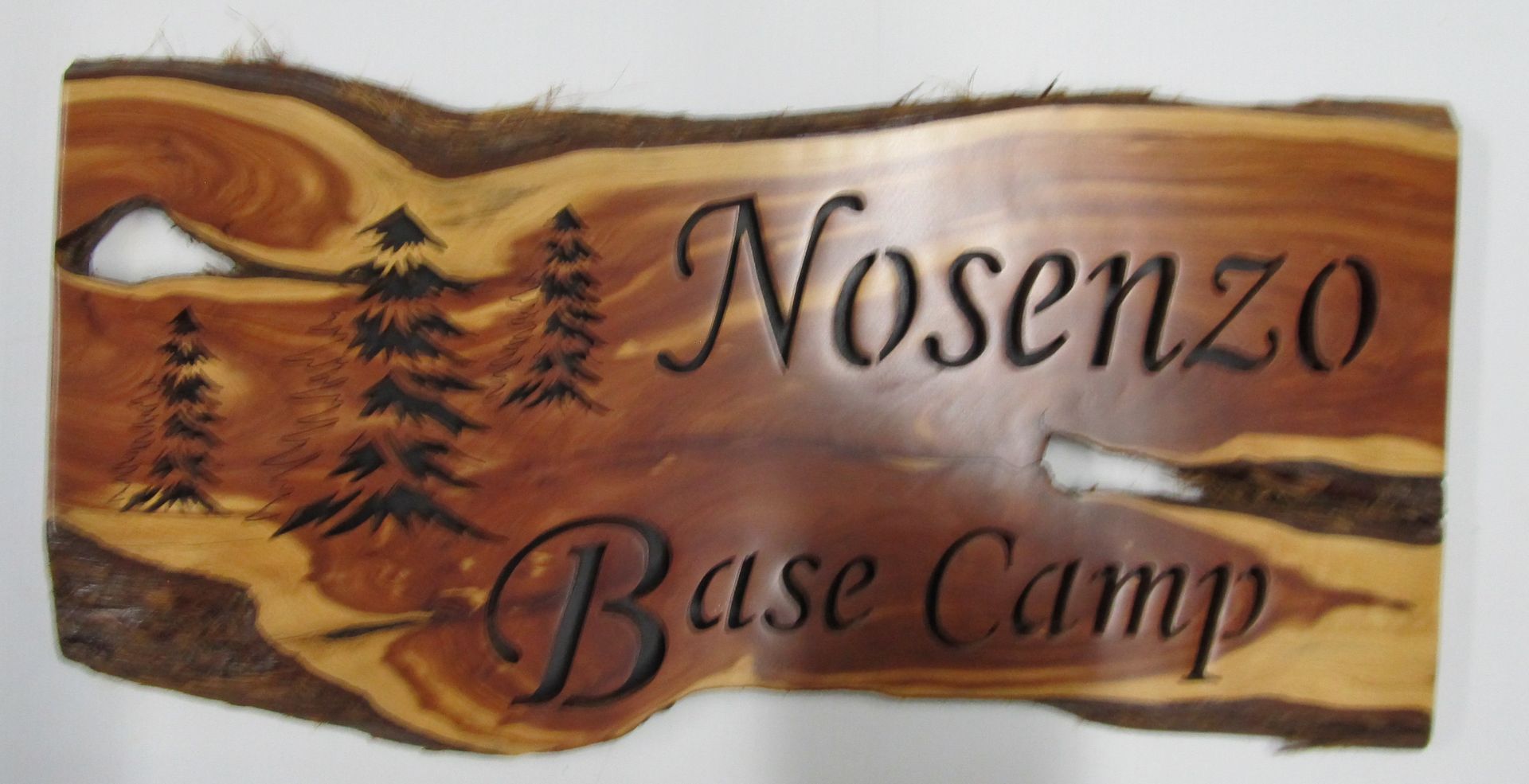 Personalized House Plaque 6