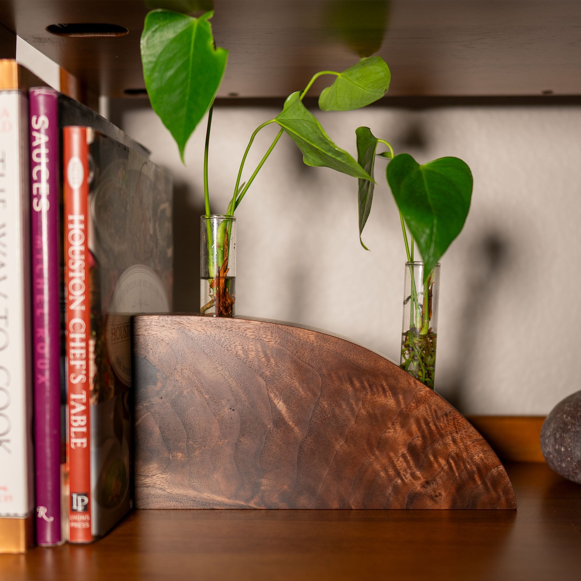 Propagation Vase:  Crimson And Clover
