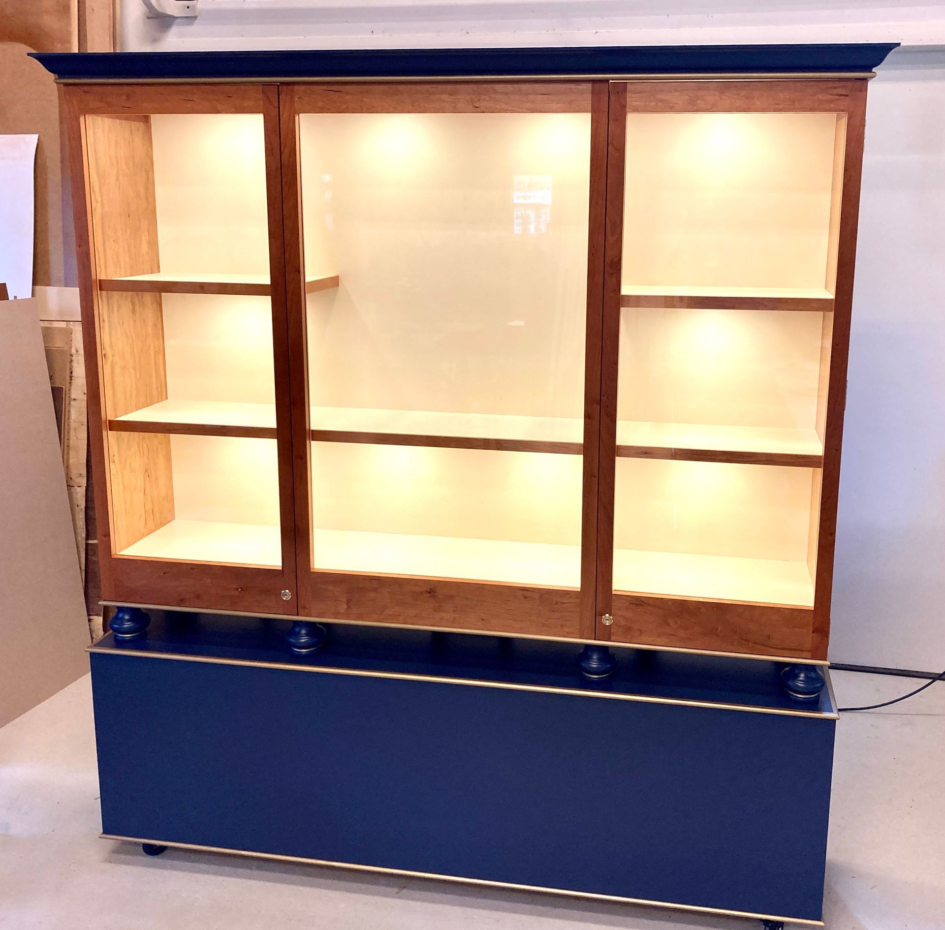 Museum Display Case