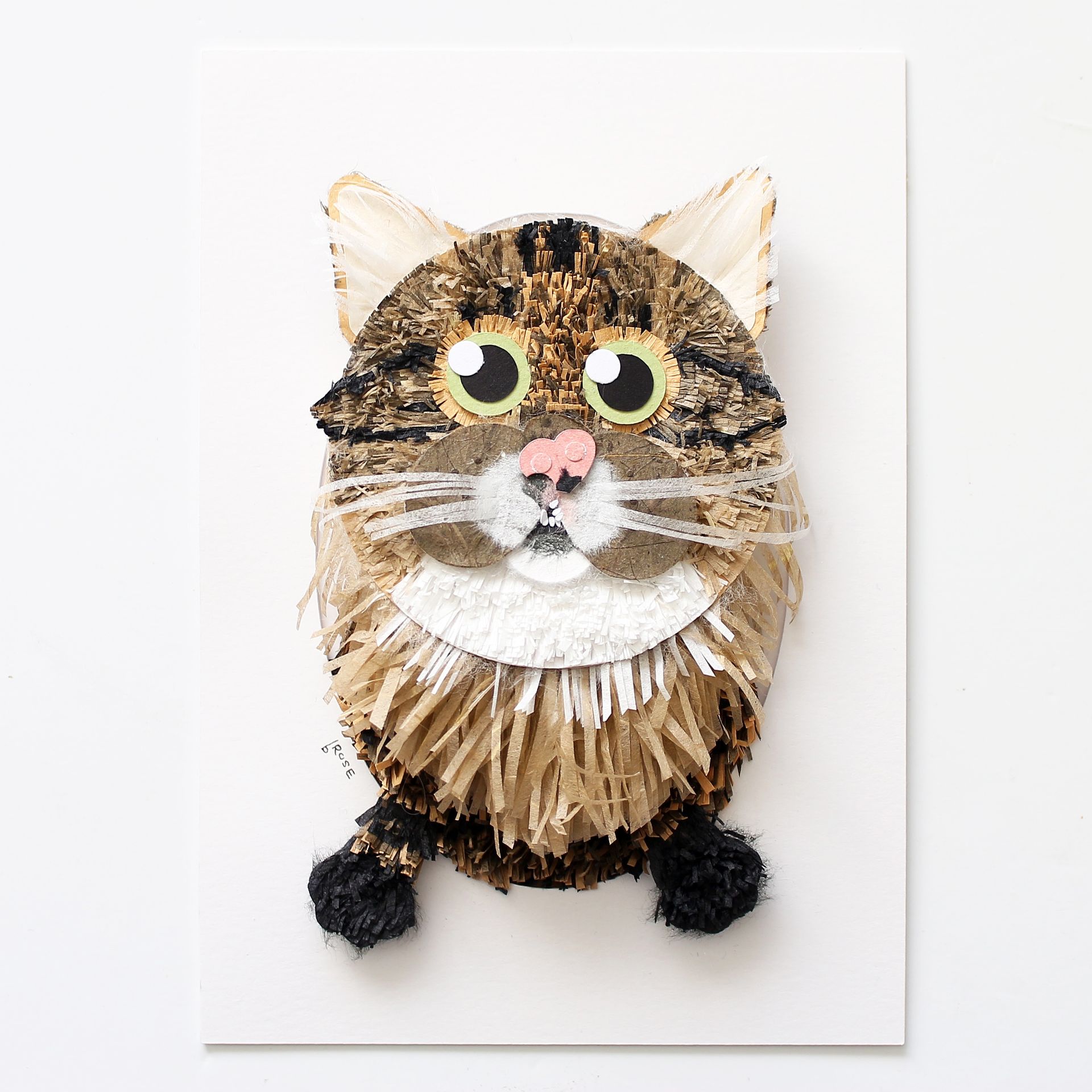 Cat Portrait 5 X 7 3