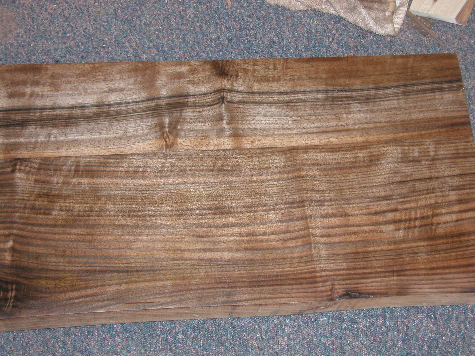 Gun Stock 4 